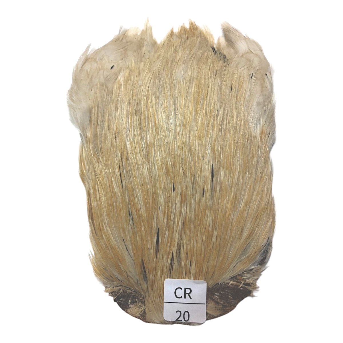 画像1: インドコックケープ India Cock Neck Cape　　クリーム　NO20 (1)