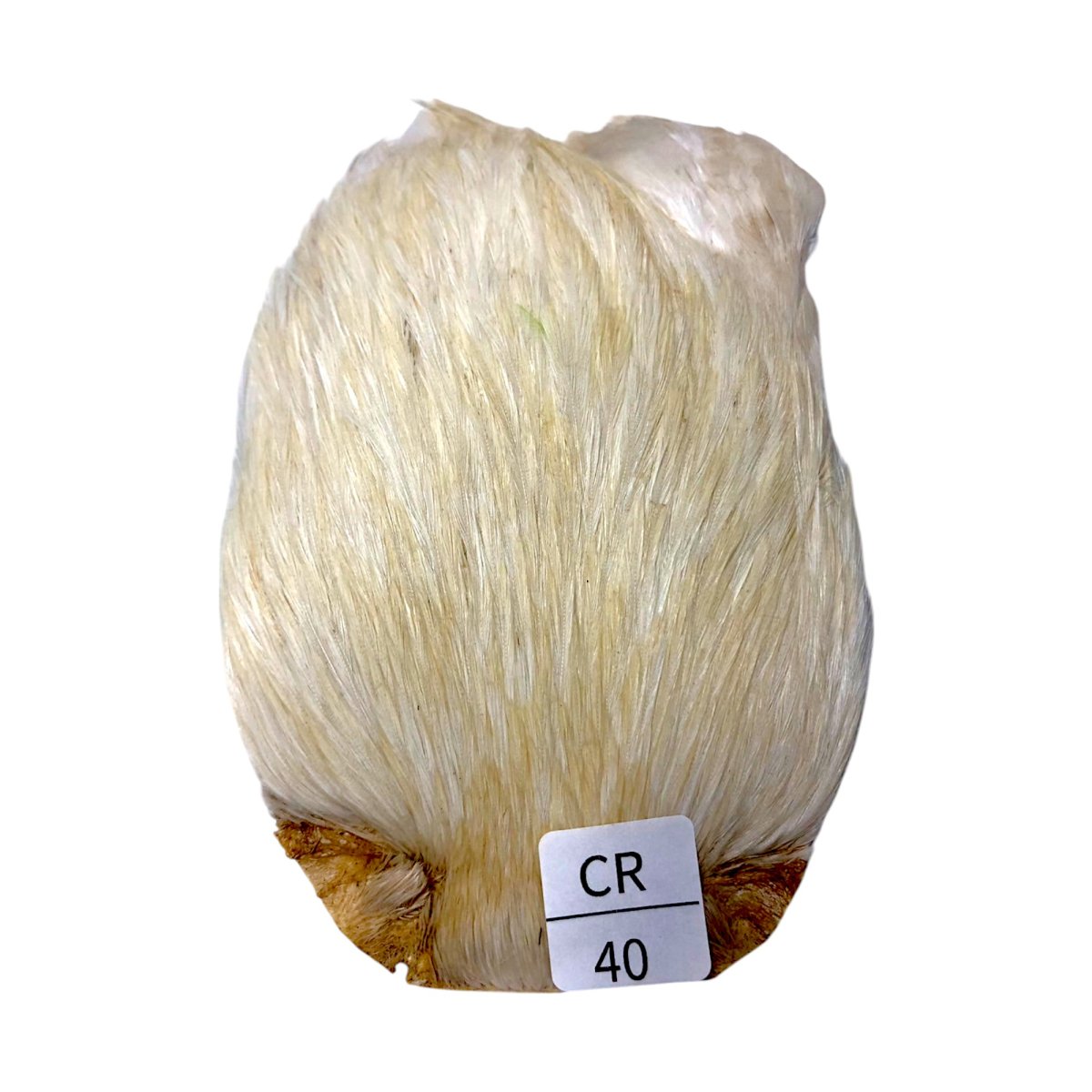 画像1: インドコックケープ India Cock Neck Cape　　クリーム　NO40 (1)