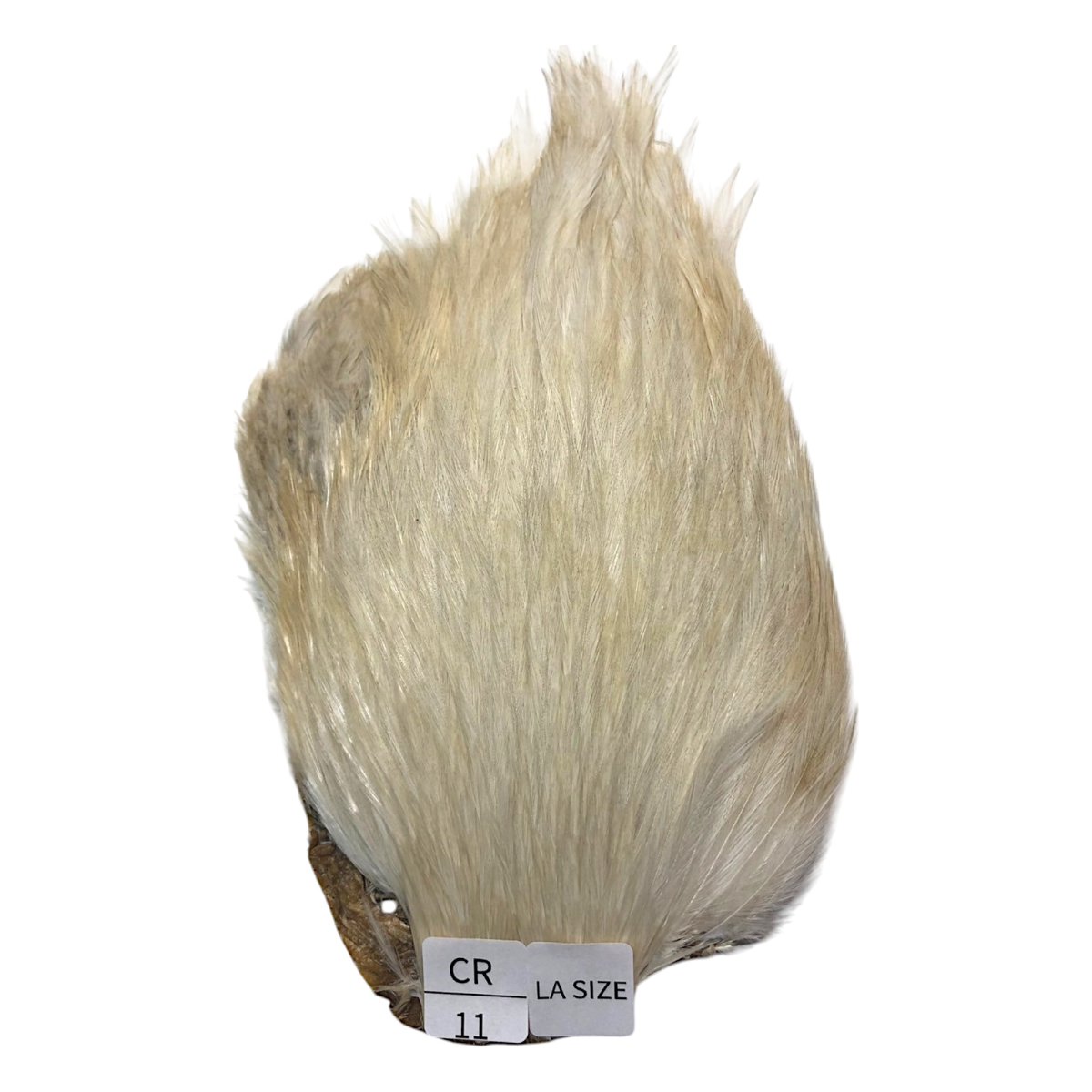 画像1: LA　SIZE　インドコックケープ India Cock Neck Cape　　クリーム　NO11 (1)