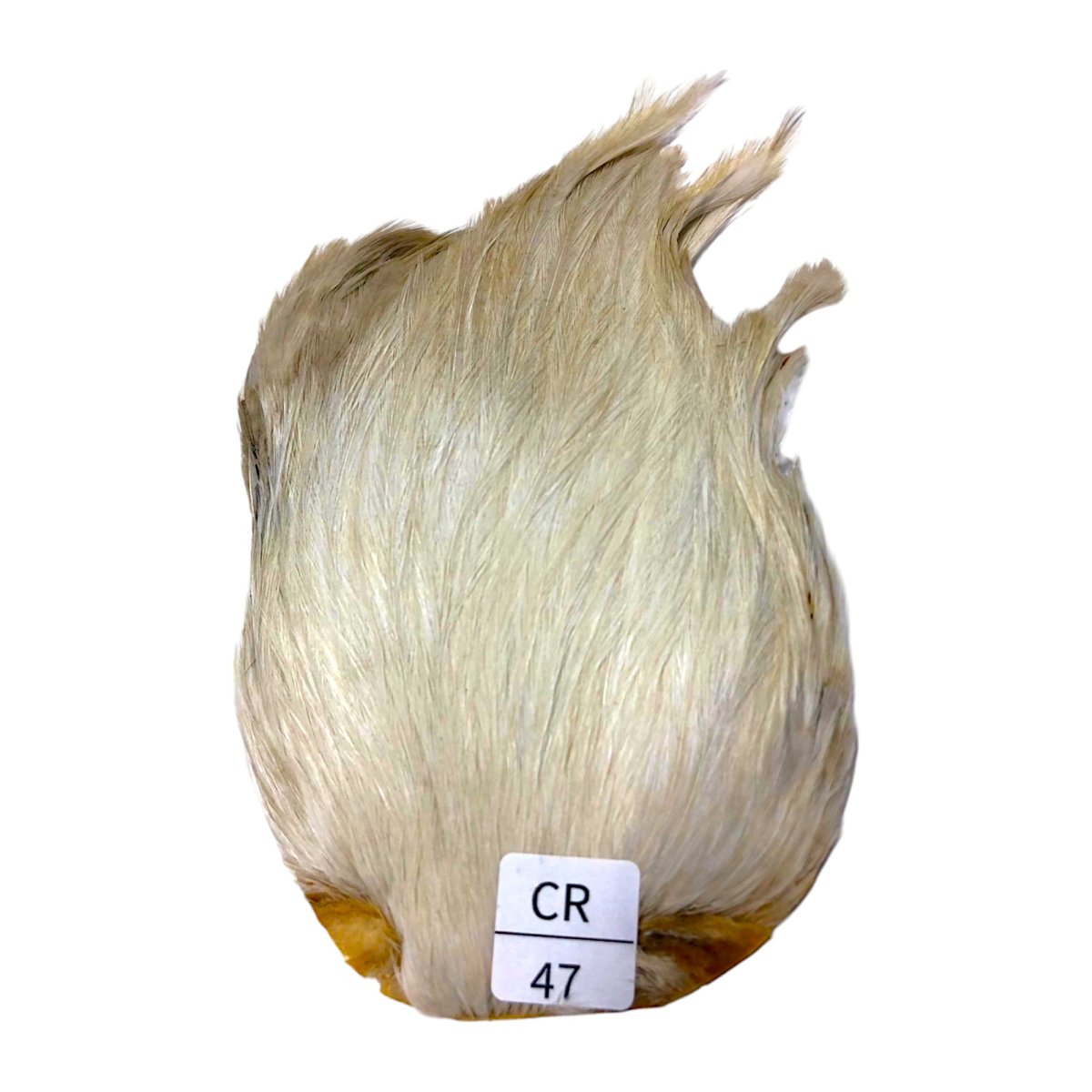 画像1: インドコックケープ India Cock Neck Cape　　クリーム　NO47 (1)