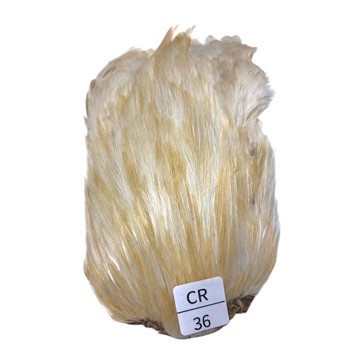 画像1: インドコックケープ India Cock Neck Cape　　クリーム　NO36 (1)