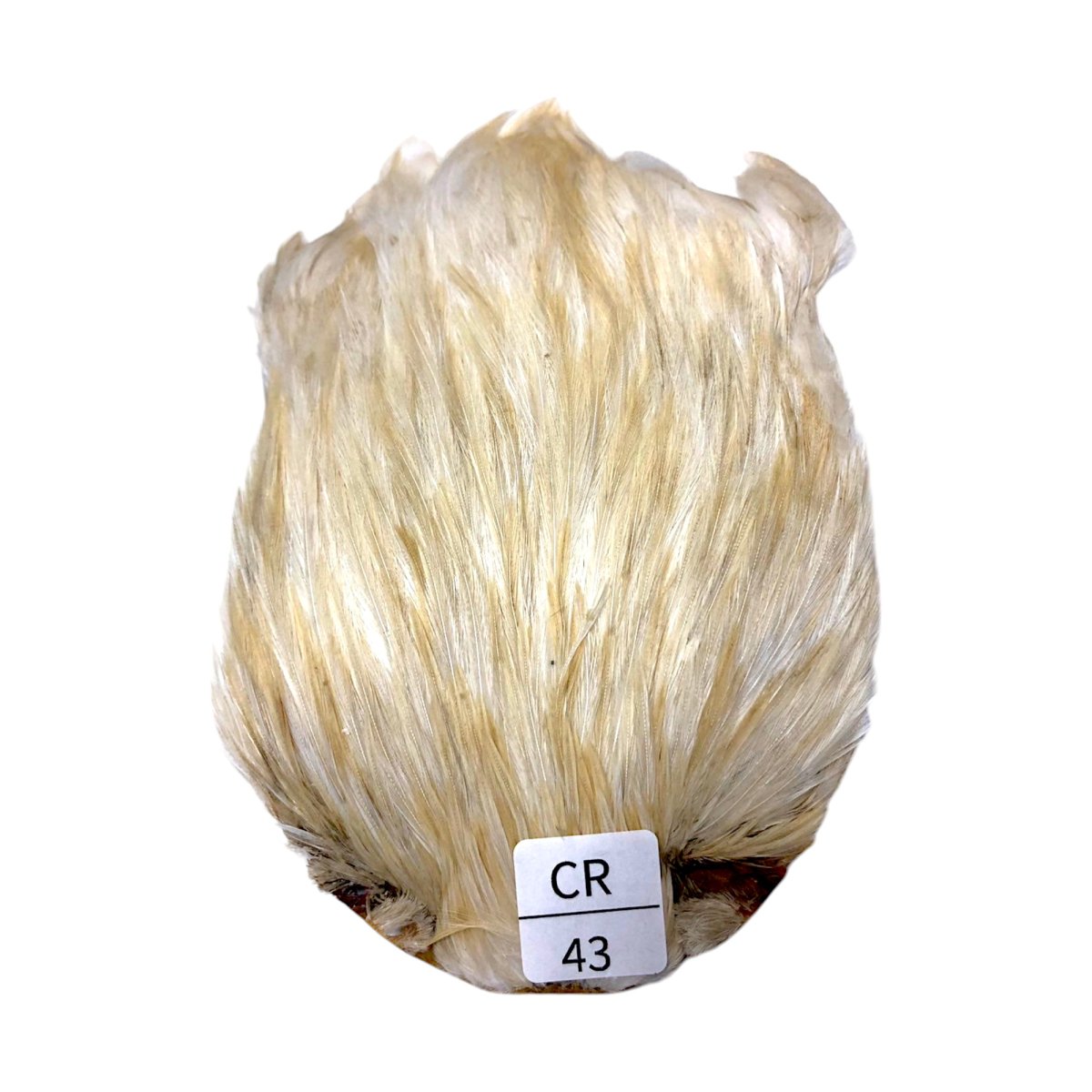 画像1: インドコックケープ India Cock Neck Cape　　クリーム　NO43 (1)