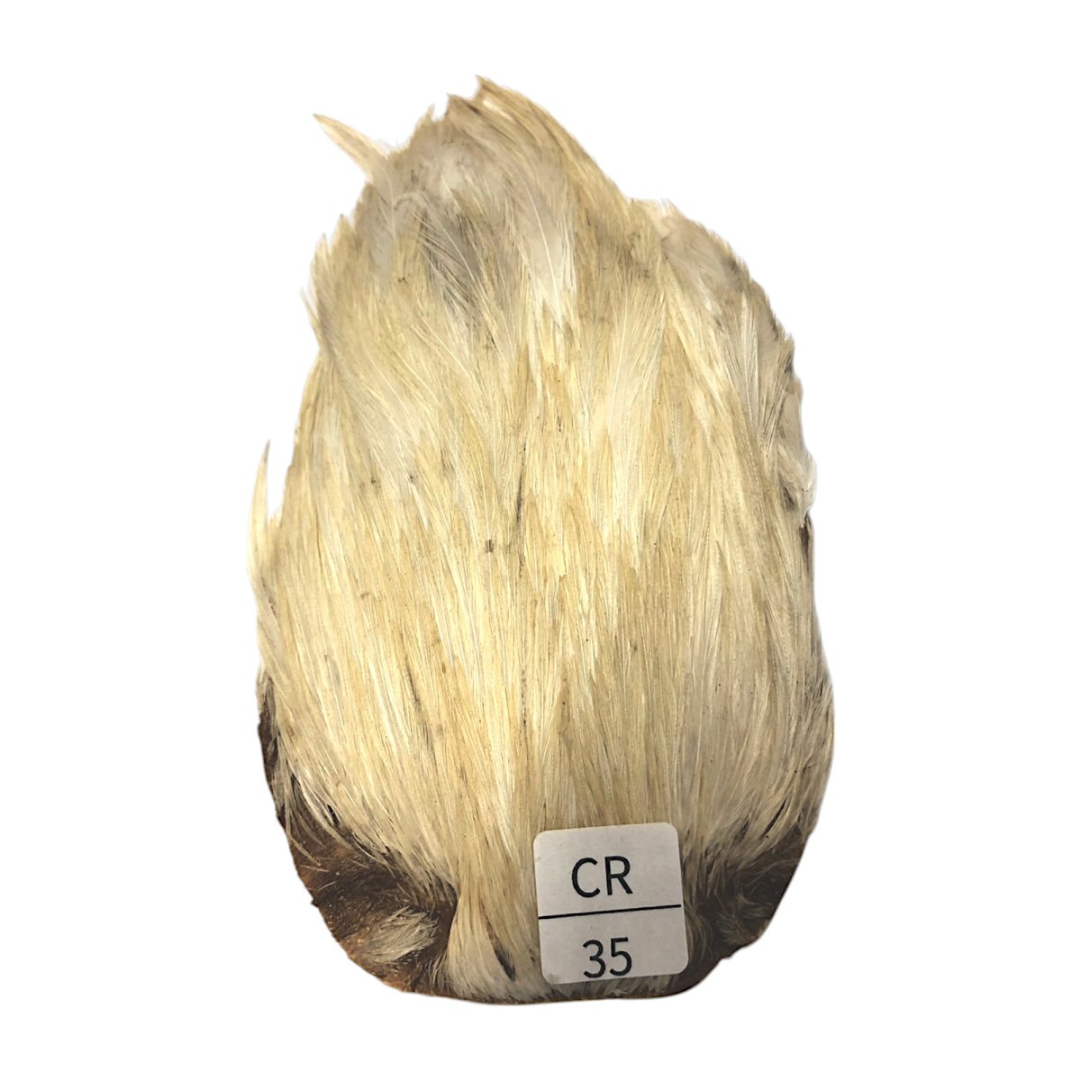 画像1: インドコックケープ India Cock Neck Cape　　クリーム　NO35 (1)