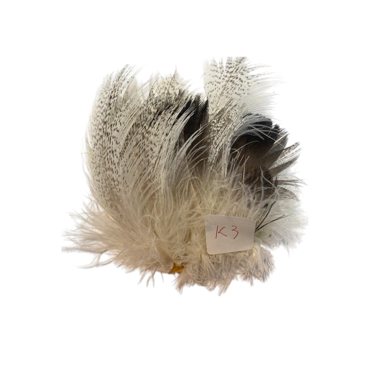 画像3: CANAL キャナル コーリバスタードパッチ (3)