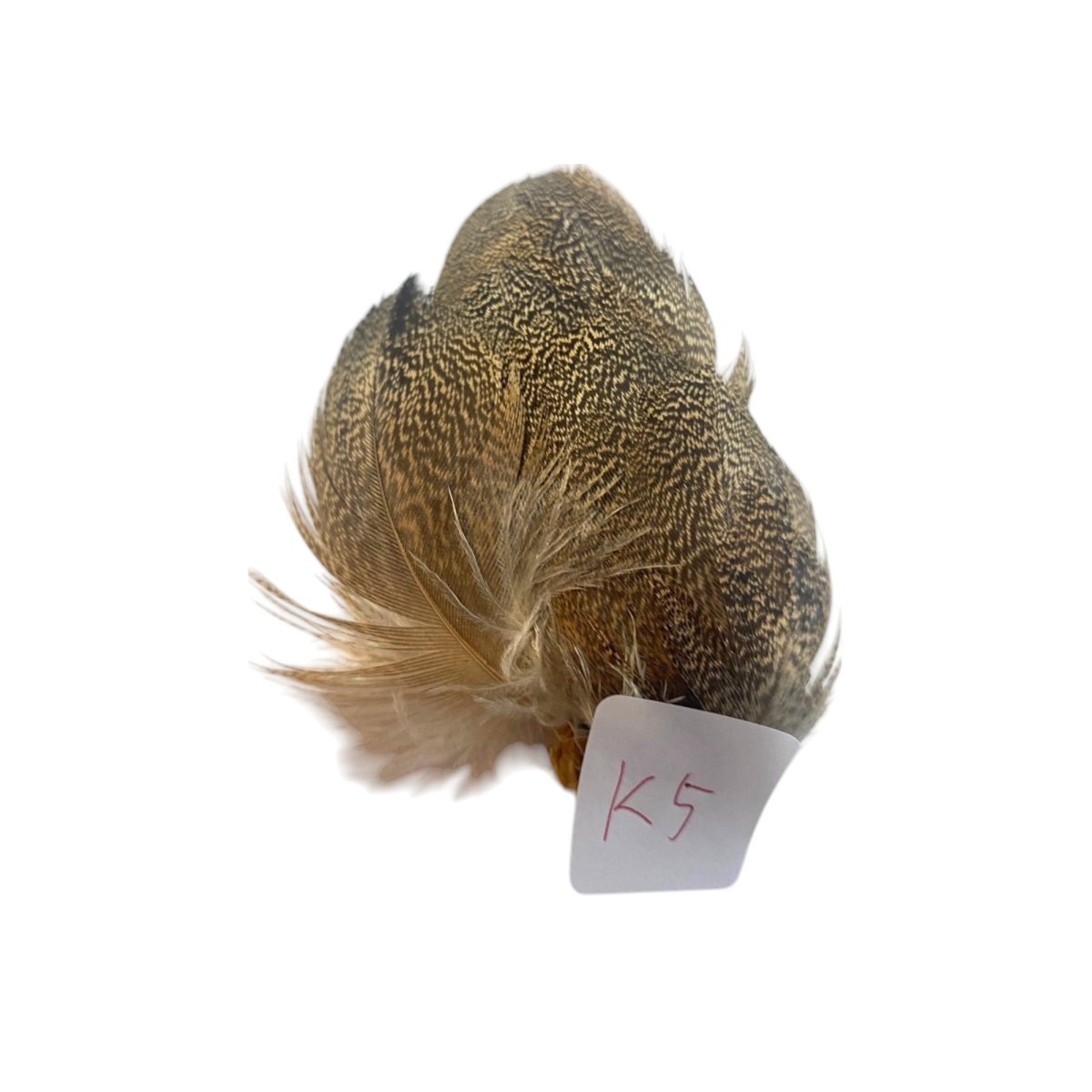 画像5: CANAL キャナル コーリバスタードパッチ (5)