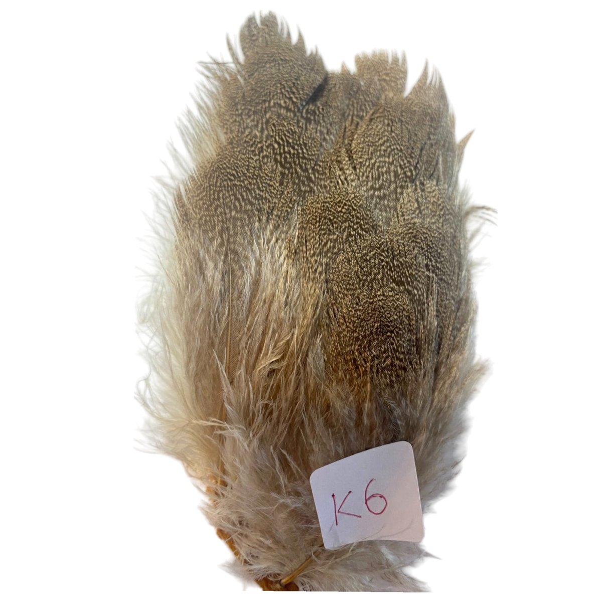 画像6: CANAL キャナル コーリバスタードパッチ (6)