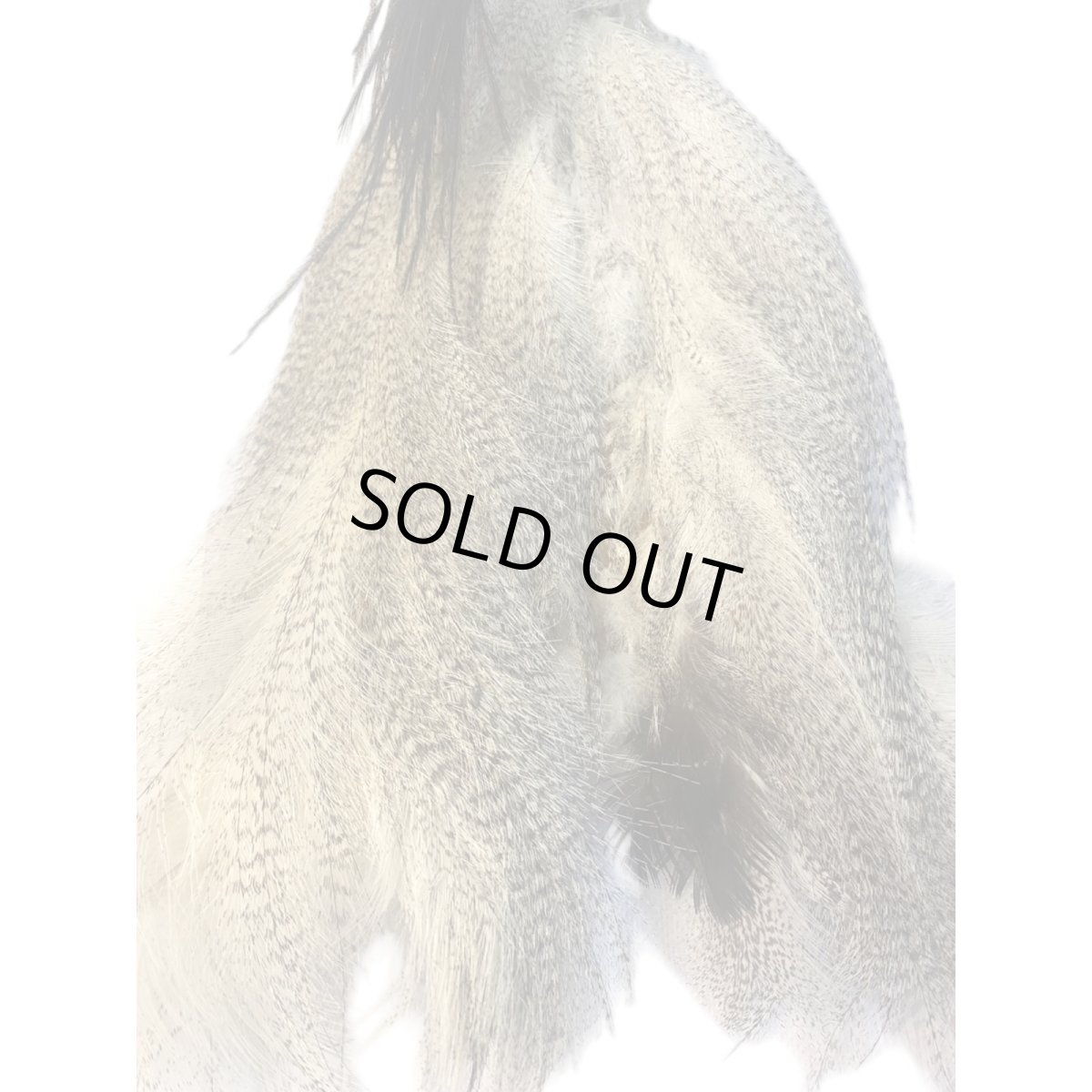 画像9: CANAL キャナル コーリーバスタードヘッド (9)