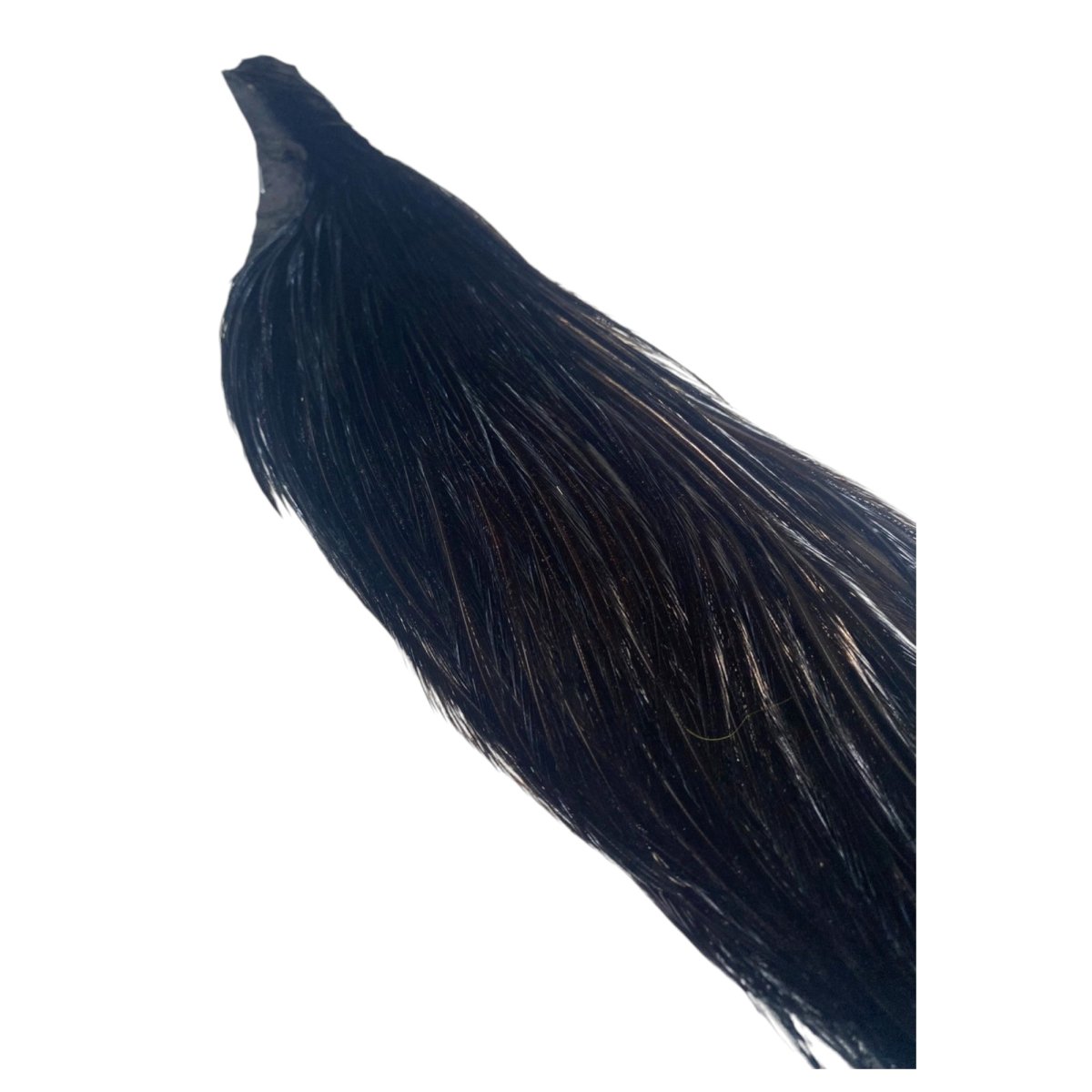 画像5: KEOUGH　コックネック　ハーフ　ブラック　＃2　K42　　キーオ　 (5)