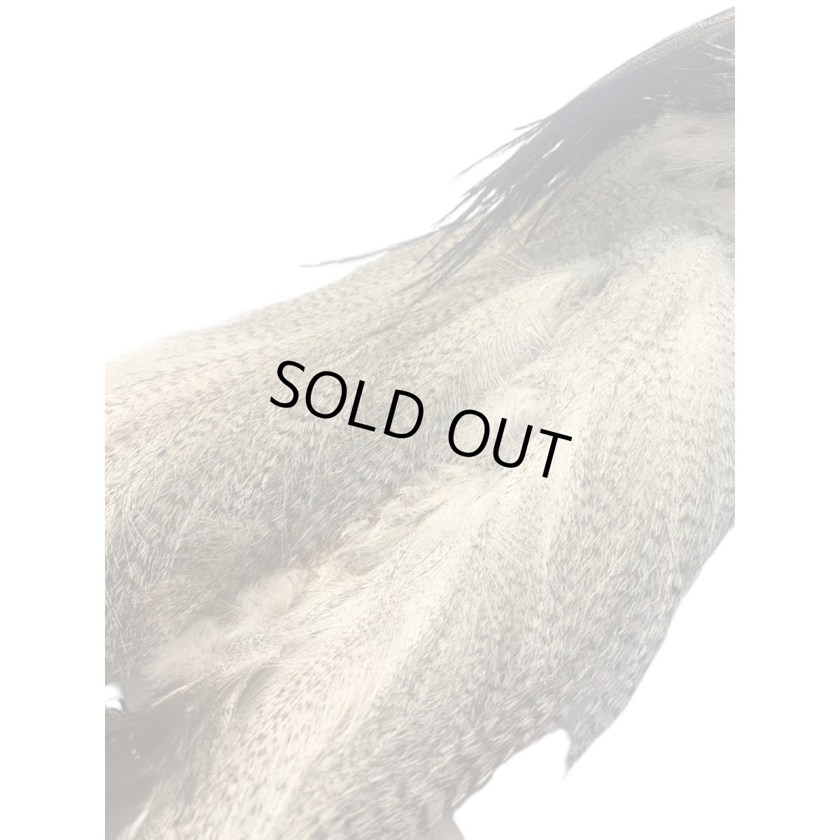 画像3: CANAL キャナル コーリーバスタードヘッド (3)