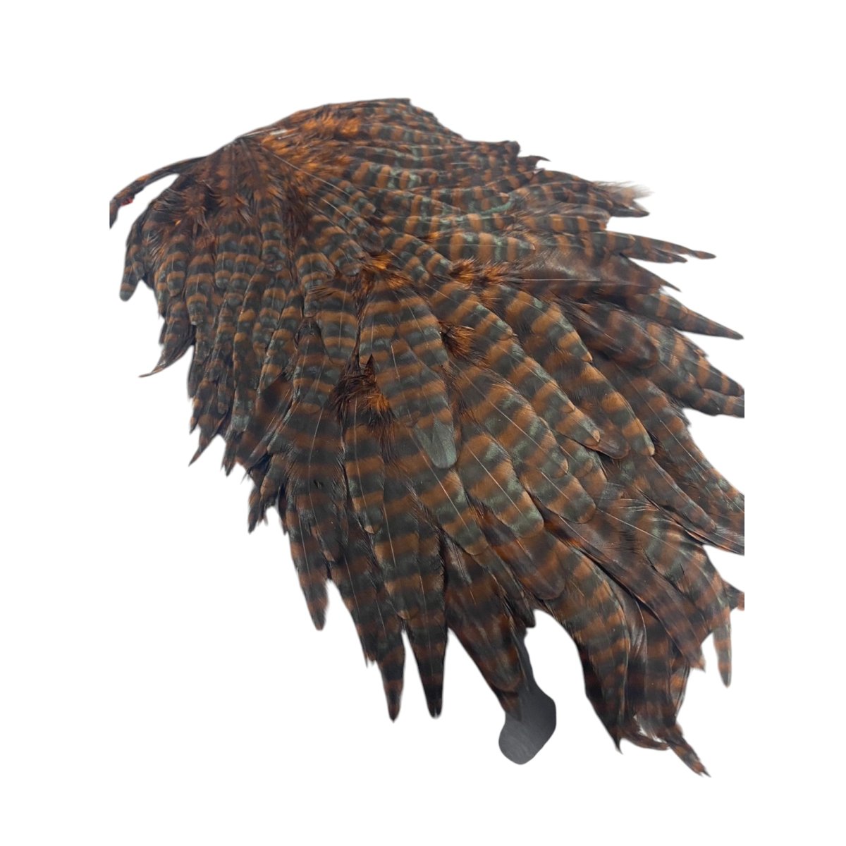 画像5:  FutureFly Signature Hen Saddle F2 GR/Coachmann Grizzly フューチャーフライ (5)