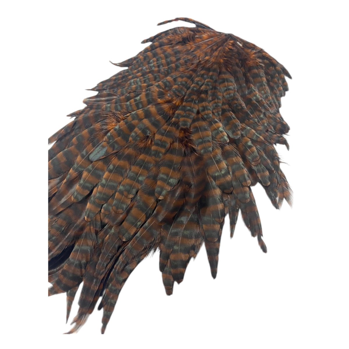 画像4:  FutureFly Signature Hen Saddle F2 GR/Coachmann Grizzly フューチャーフライ (4)