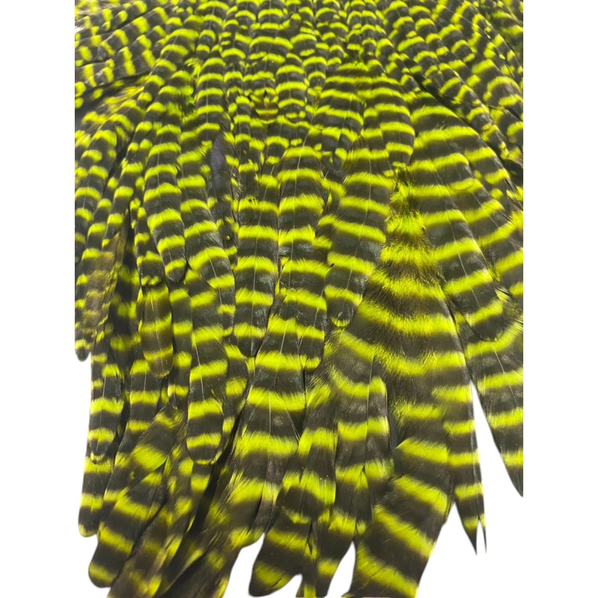 画像2:  FutureFly Signature Hen Saddle F1 Chartreuse Grizzly フューチャーフライ (2)