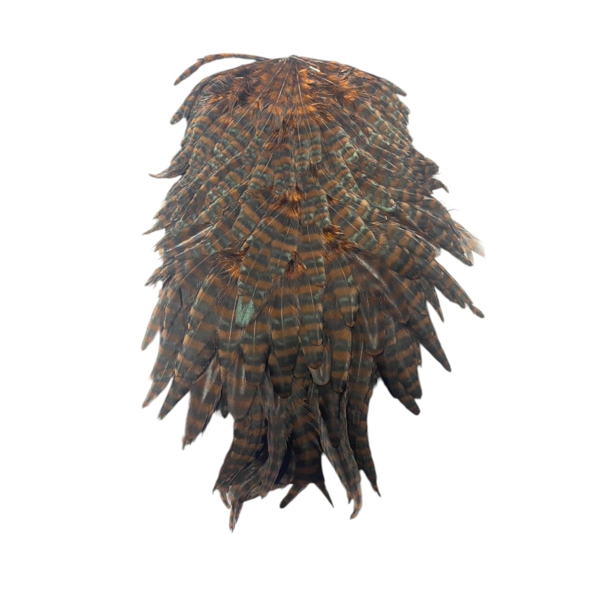 画像1:  FutureFly　Signature Hen Saddle　F2　GR/Coachmann Grizzly　フューチャーフライ (1)