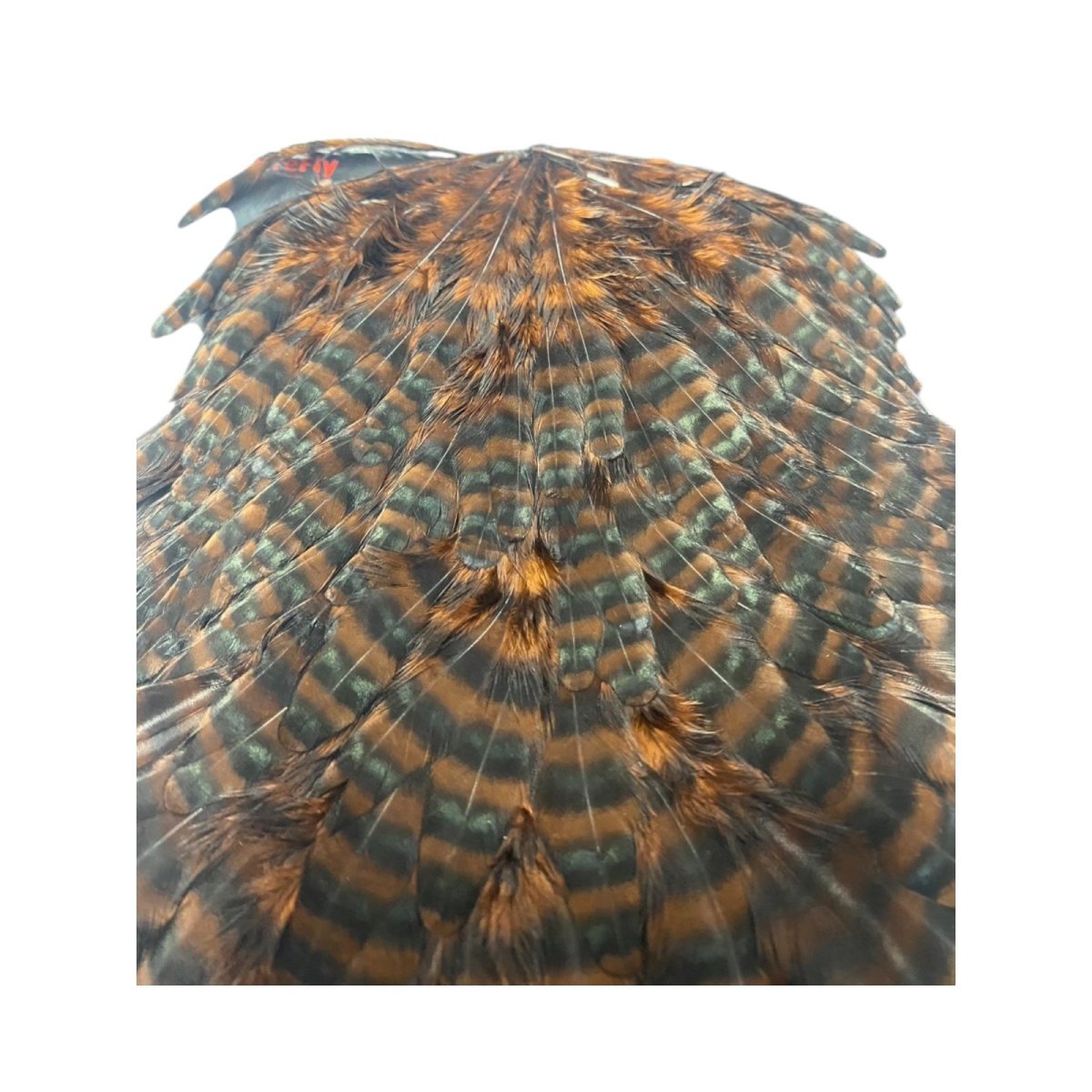 画像3:  FutureFly Signature Hen Saddle F2 GR/Coachmann Grizzly フューチャーフライ (3)