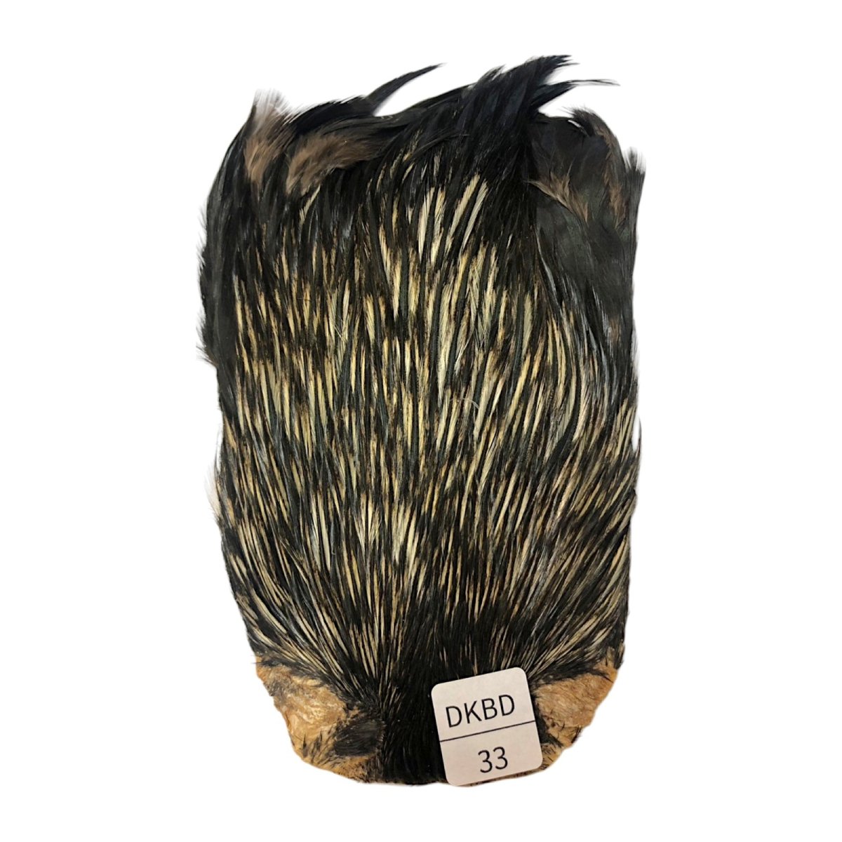 画像1: インドコックケープ India Cock Neck Cape　　ダークバジャー　NO33 (1)