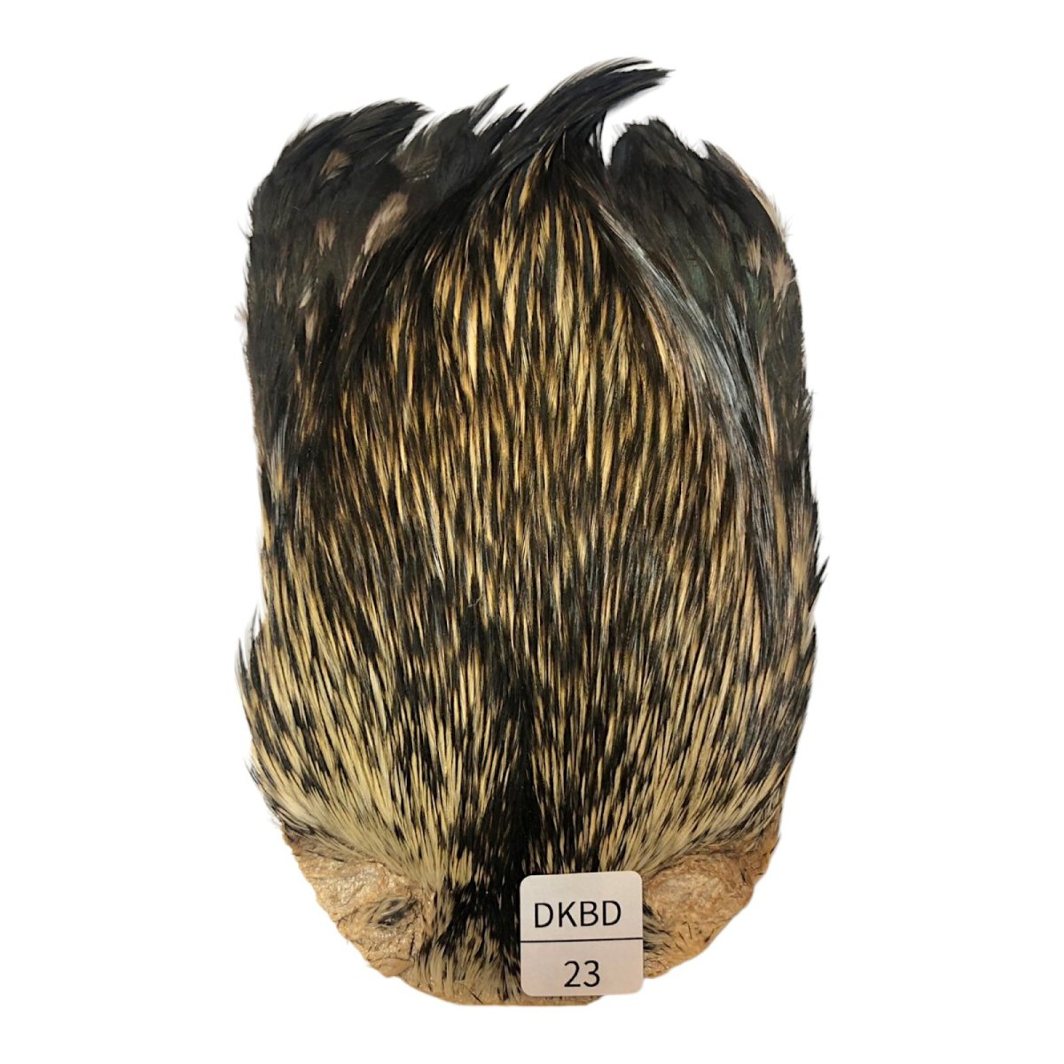 画像1: インドコックケープ India Cock Neck Cape　　ダークバジャー　NO23 (1)