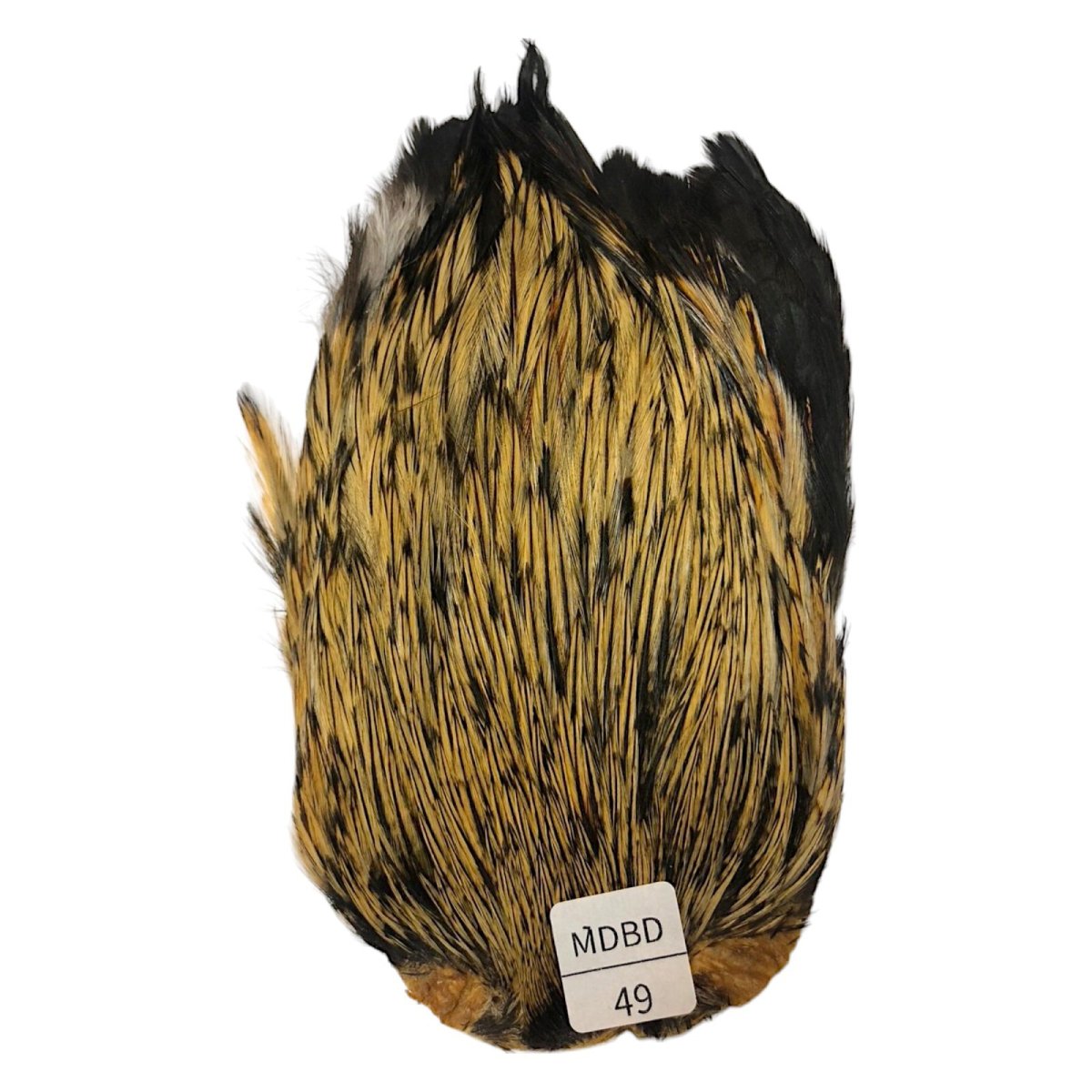 画像1: インドコックケープ India Cock Neck Cape　　ミディアムバジャー　NO49 (1)