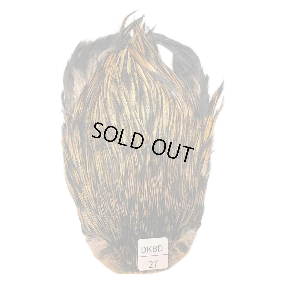 画像1: インドコックケープ India Cock Neck Cape　　ダークバジャー　NO27 (1)