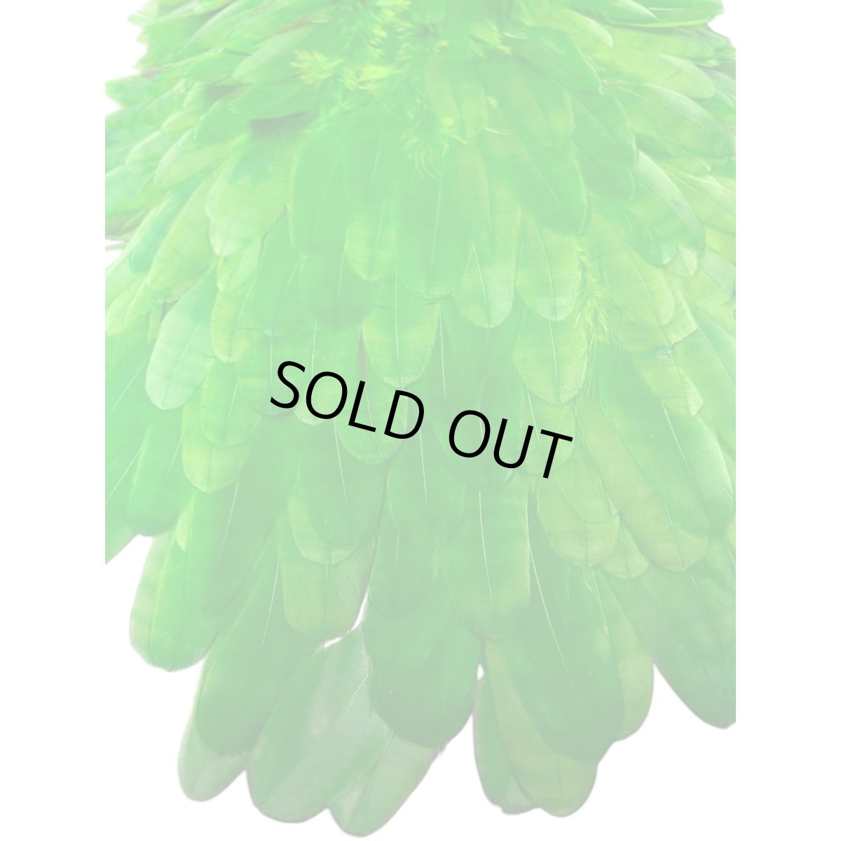 画像2:  FutureFly　Soft Hackle  F7　 Green　フューチャーフライ (2)