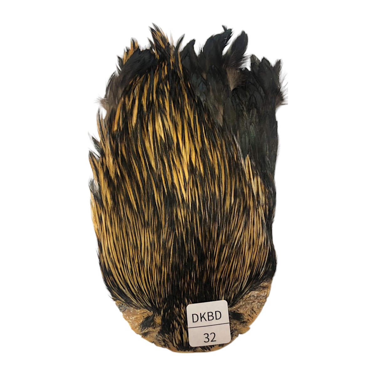 画像1: インドコックケープ India Cock Neck Cape　　ダークバジャー　NO32 (1)