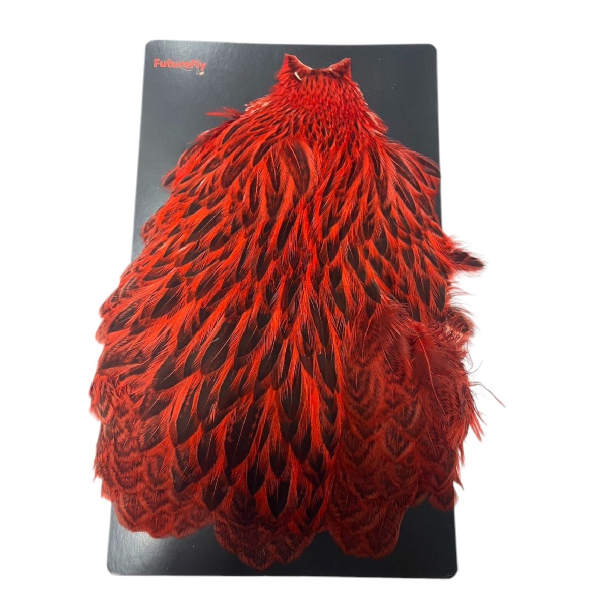 画像1:  FutureFly　Freshwater Hen Capes  F5  Red　　フューチャーフライ (1)