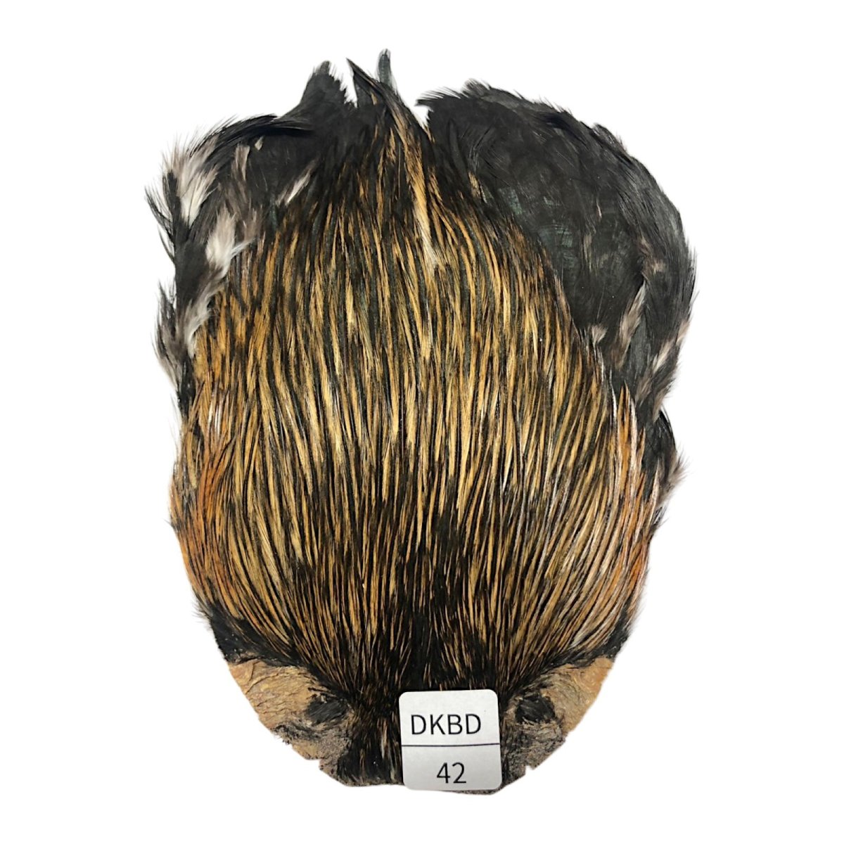 画像1: インドコックケープ India Cock Neck Cape　　ダークバジャー　NO42 (1)