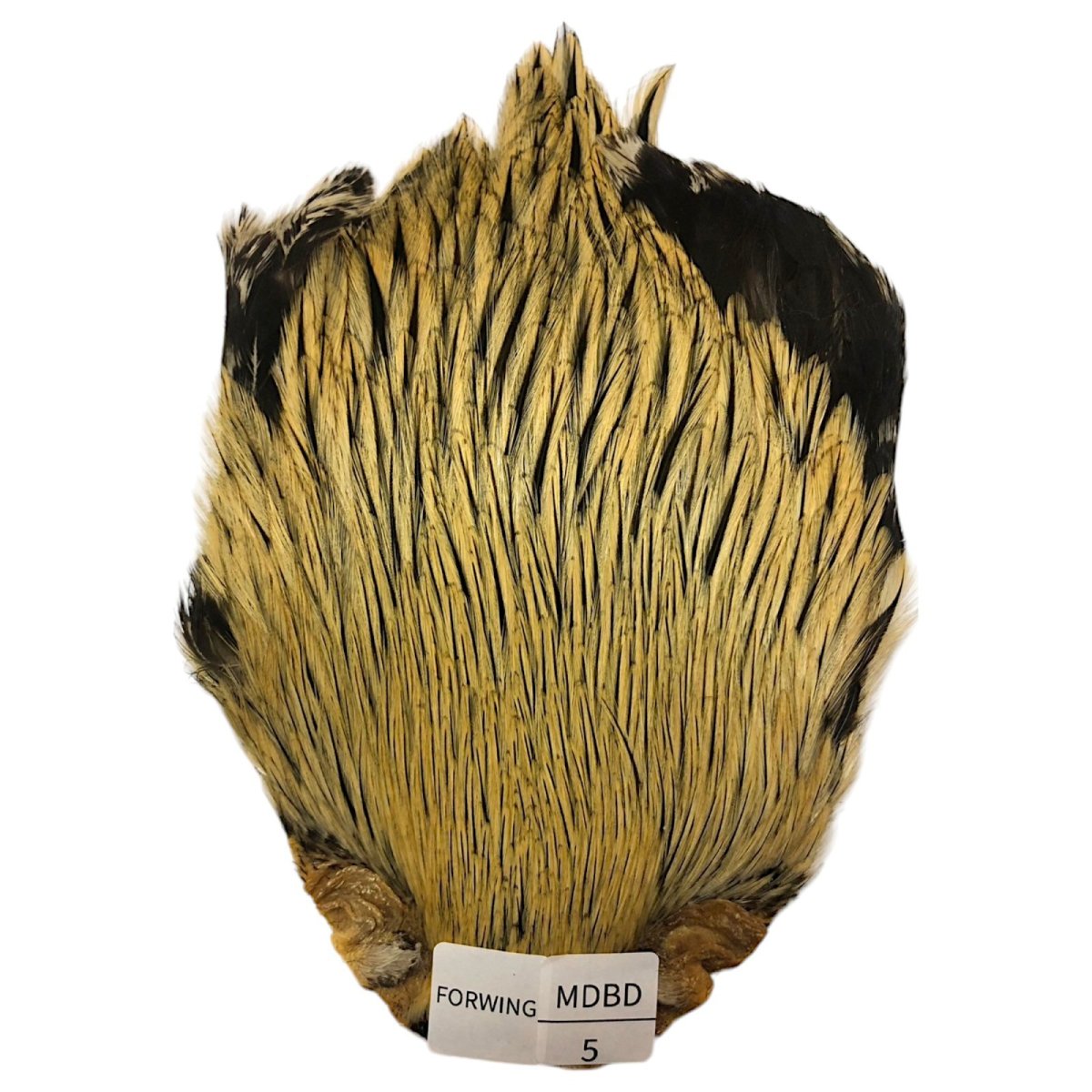 画像1: For Wing　インドコックケープ India Cock Neck Cape　　ミディアムバジャー　NO05 (1)