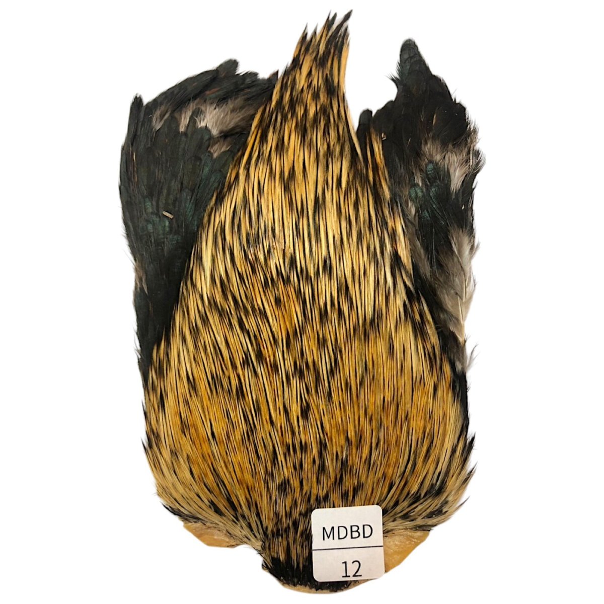 画像1: インドコックケープ India Cock Neck Cape　　ミディアムバジャー　NO12 (1)