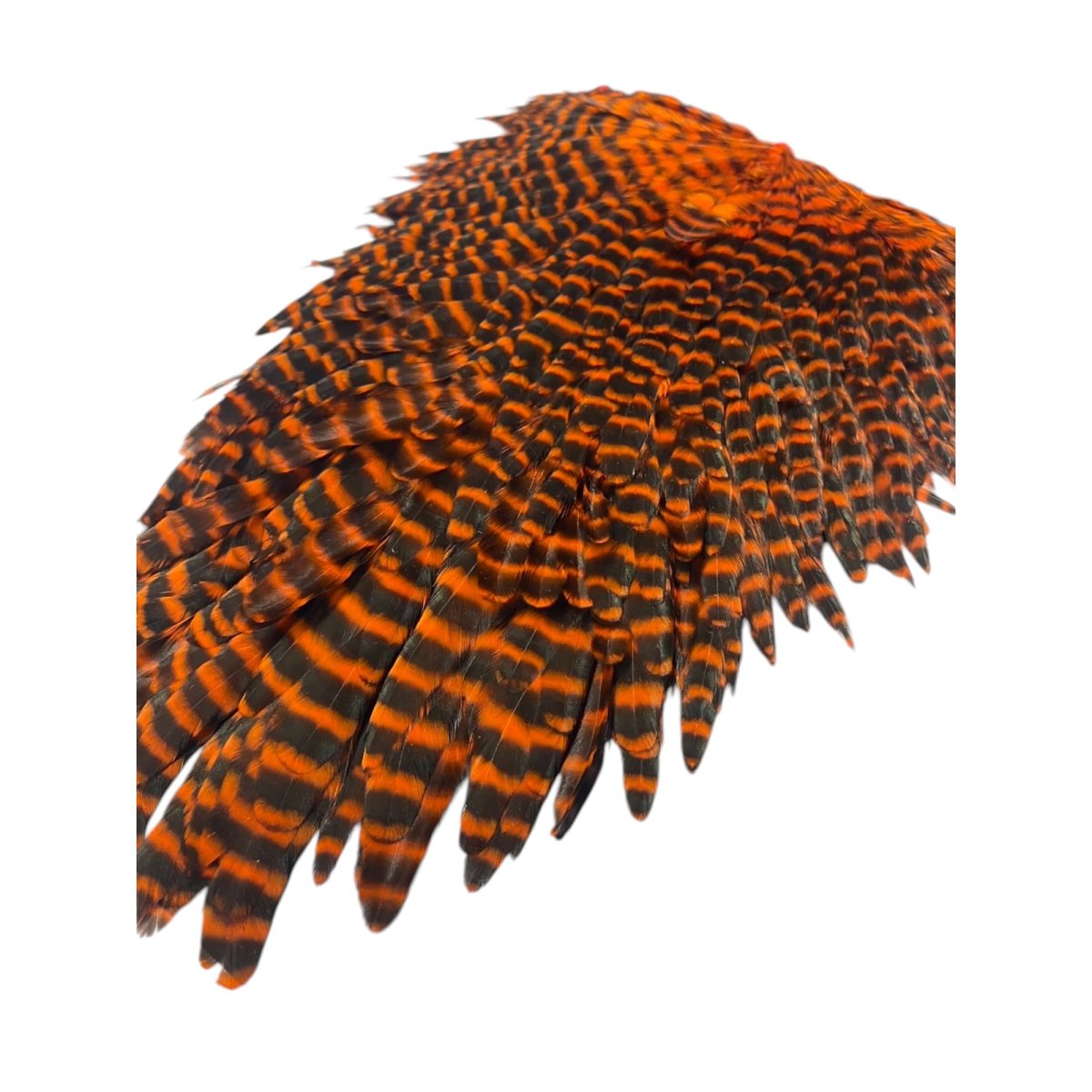 画像4:  FutureFly Signature Hen Saddle F4  Orange Grizzly フューチャーフライ (4)