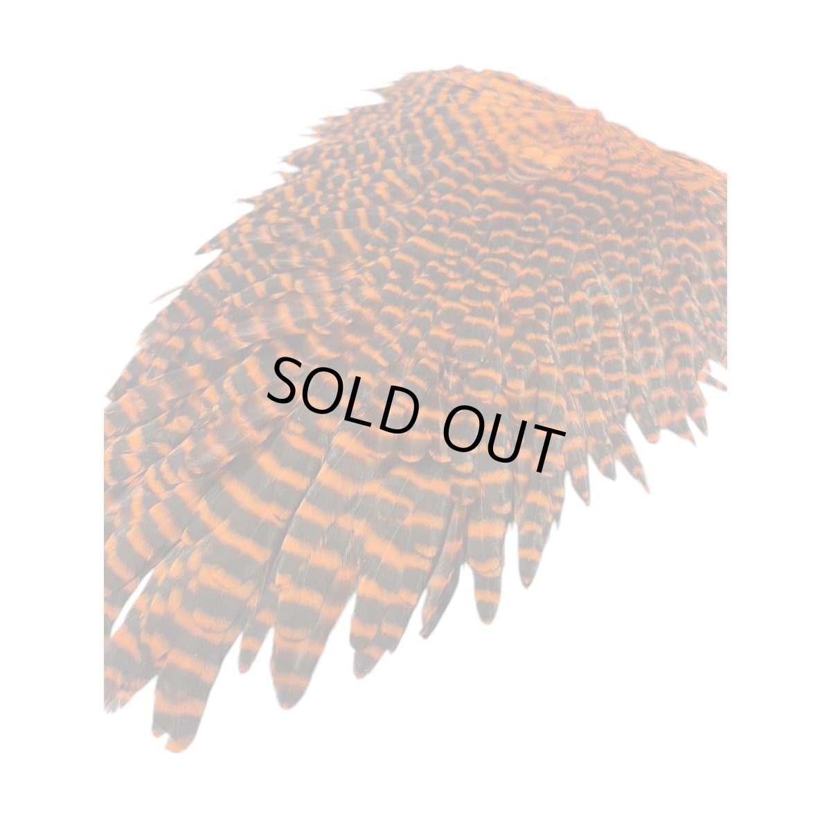 画像4:  FutureFly　Signature Hen Saddle　F4　 Orange　Grizzly　フューチャーフライ (4)