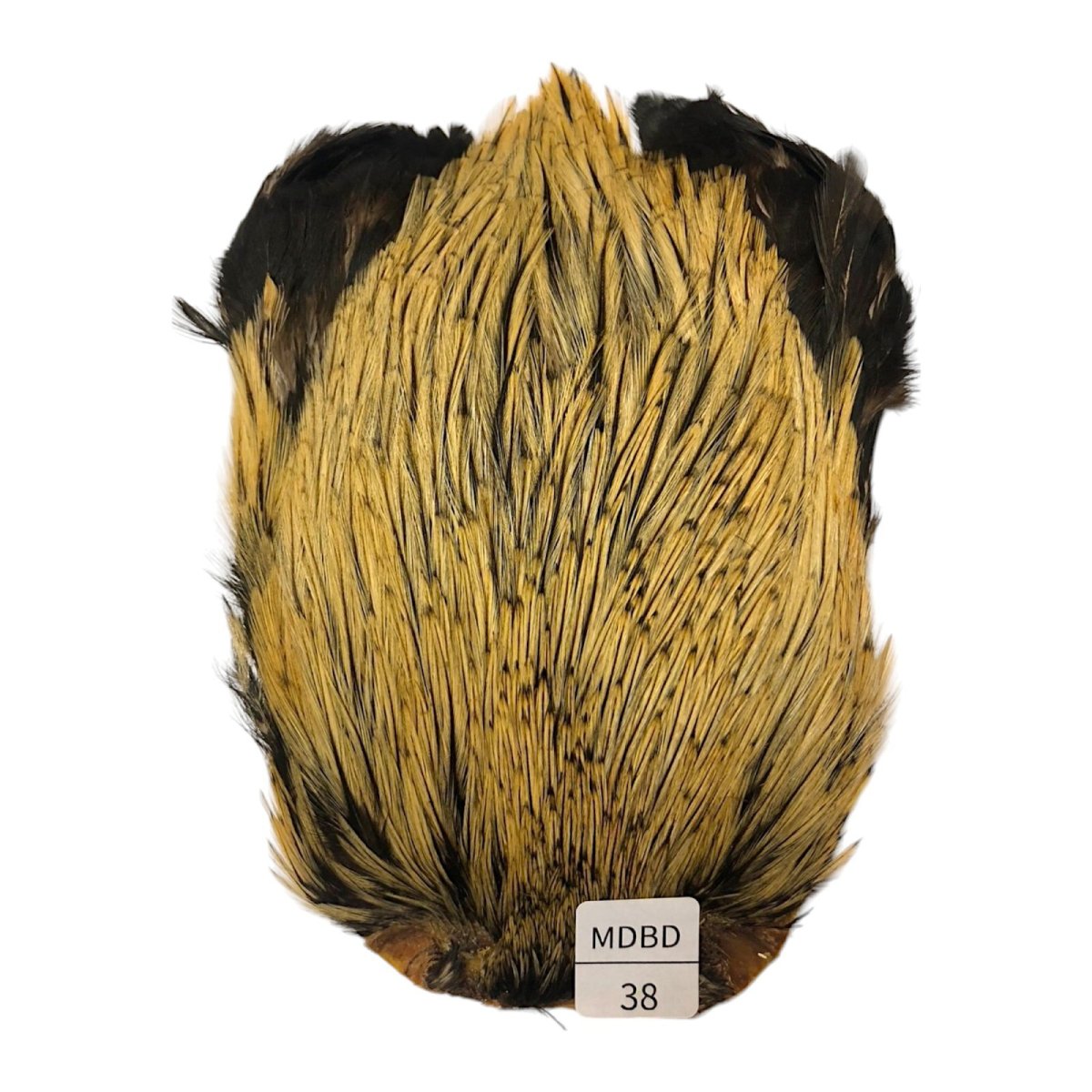 画像1: インドコックケープ India Cock Neck Cape　　ミディアムバジャー　NO38 (1)