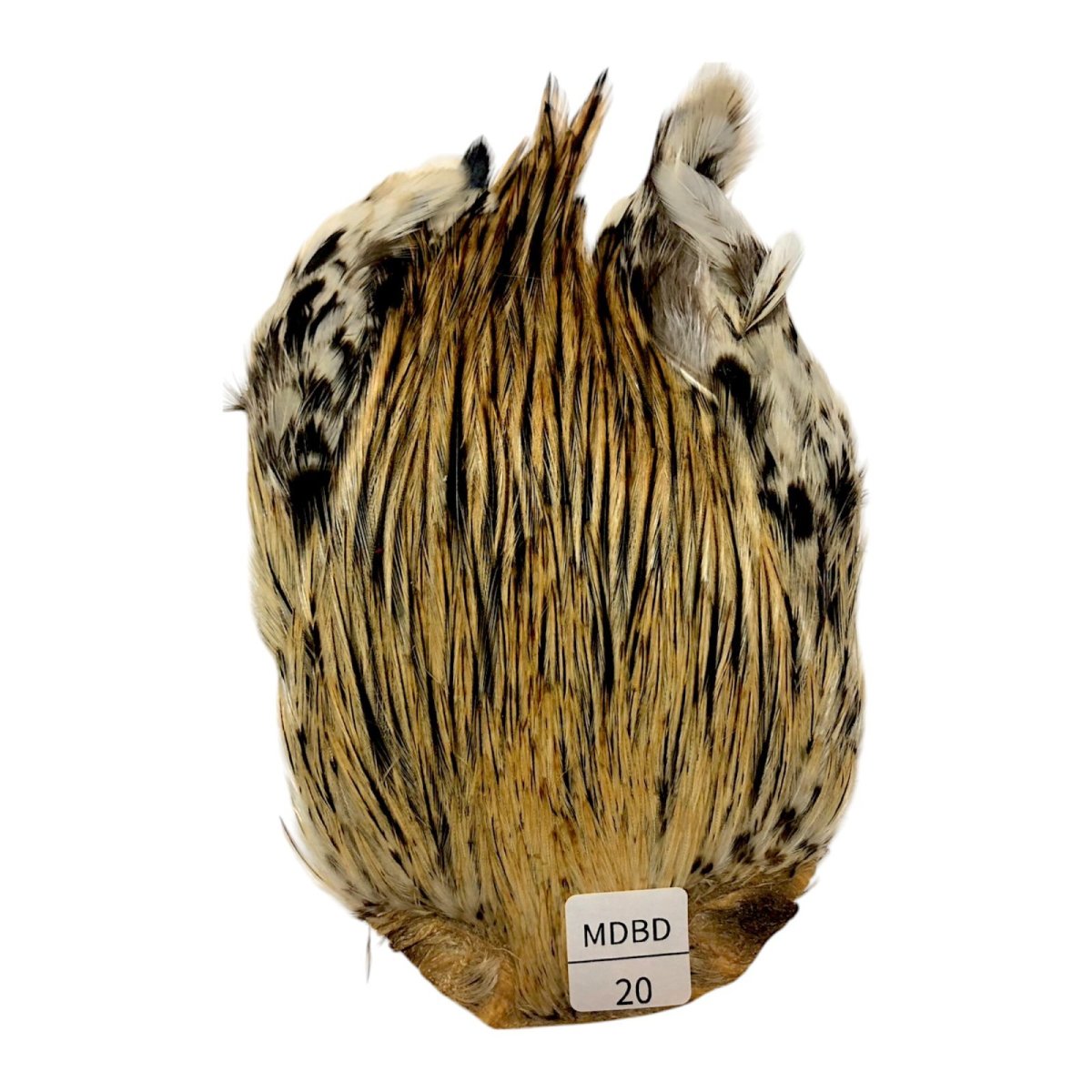 画像1: インドコックケープ India Cock Neck Cape　　ミディアムバジャー　NO20 (1)