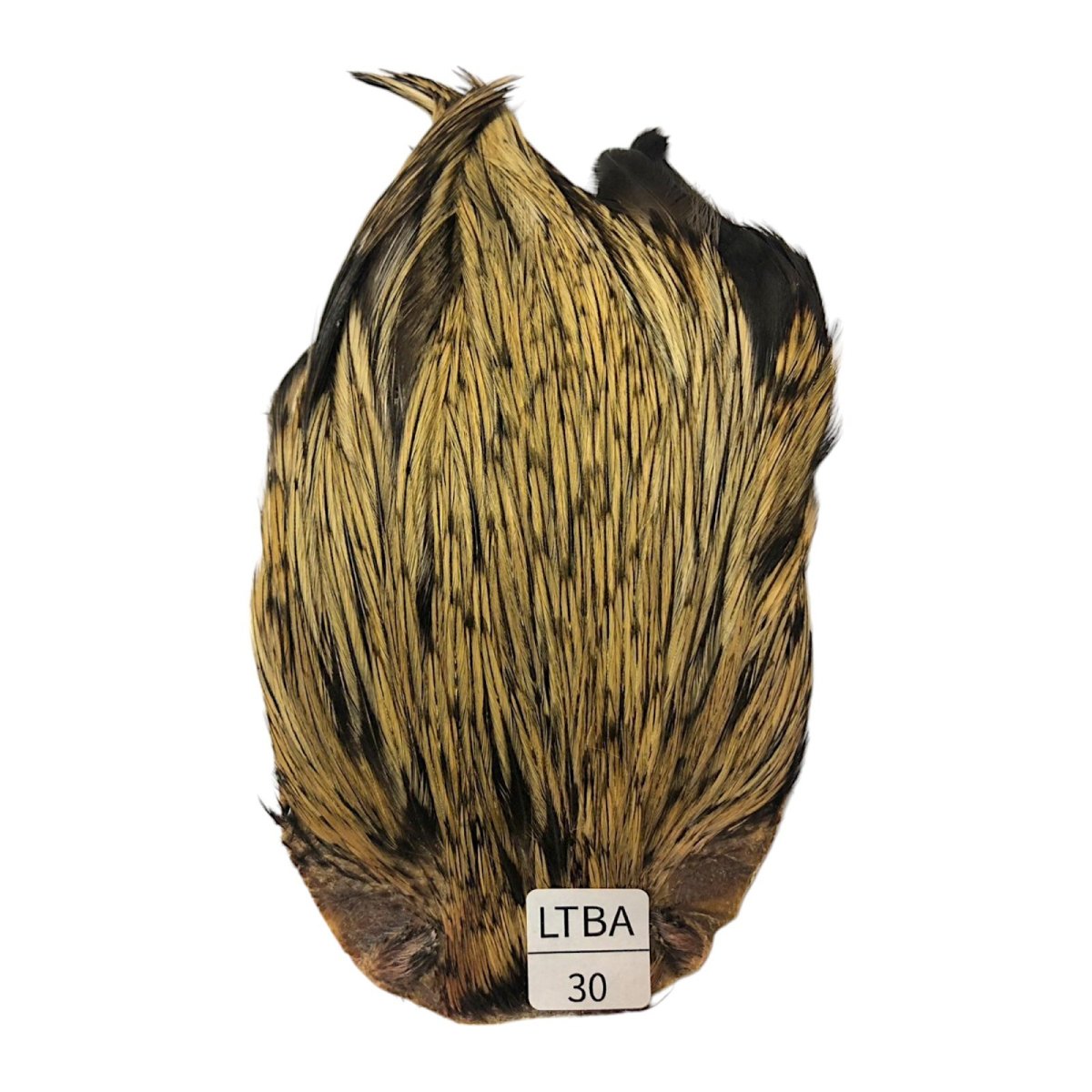 画像1: インドコックケープ India Cock Neck Cape　　ライトバジャー　NO30 (1)