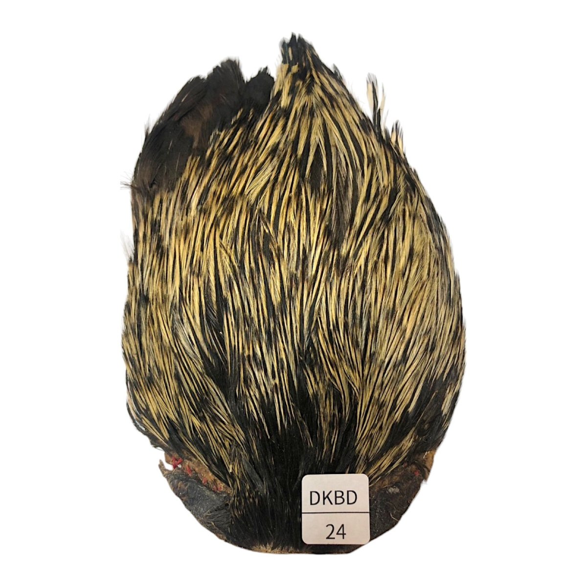 画像1: インドコックケープ India Cock Neck Cape　　ダークバジャー　NO24 (1)
