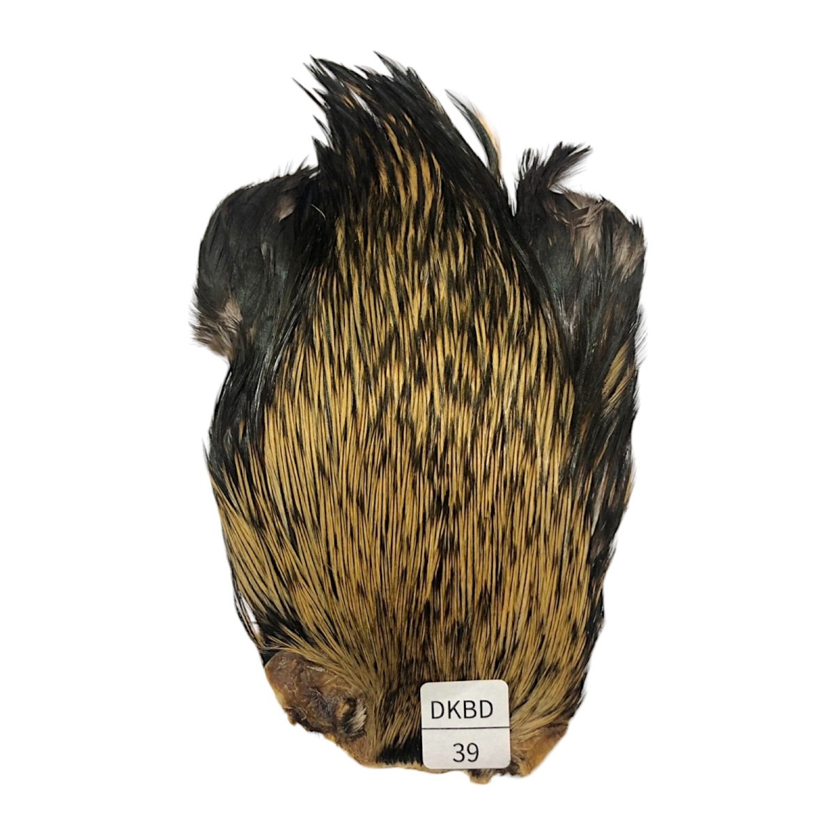画像1: インドコックケープ India Cock Neck Cape　　ダークバジャー　NO39 (1)