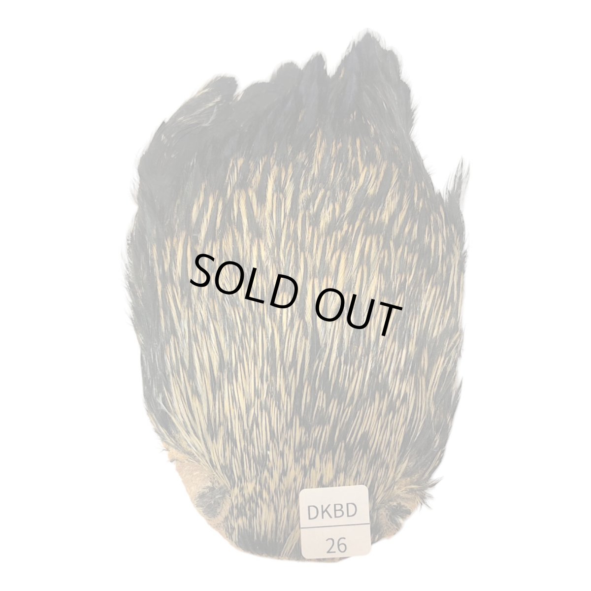 画像1: インドコックケープ India Cock Neck Cape　　ダークバジャー　NO26 (1)