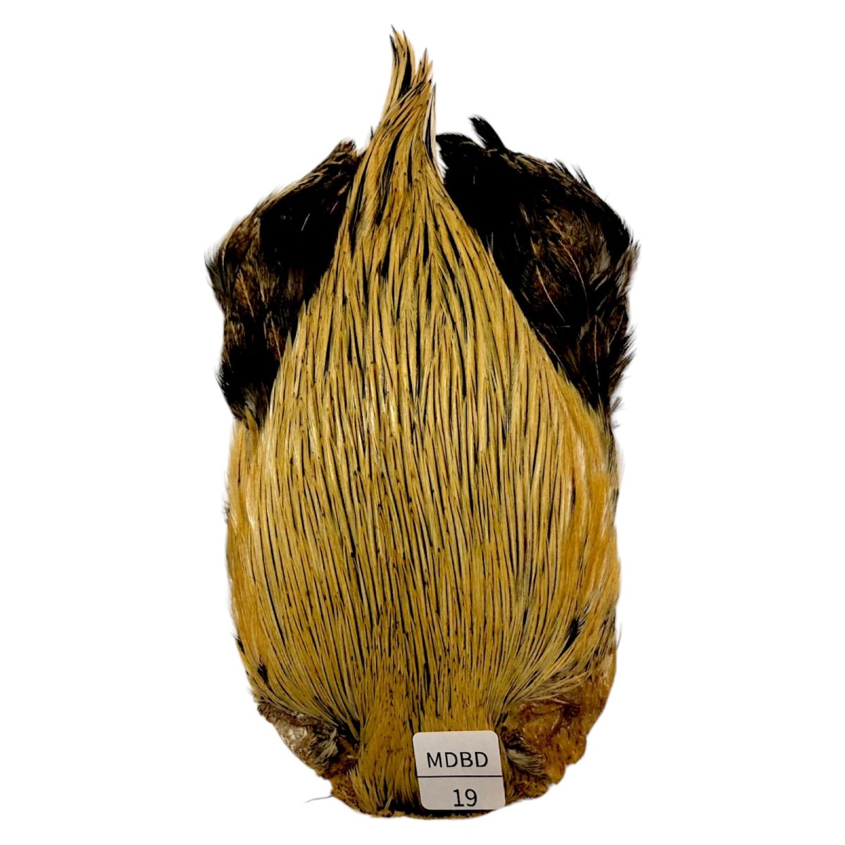 画像1: インドコックケープ India Cock Neck Cape　　ミディアムバジャー　NO19 (1)