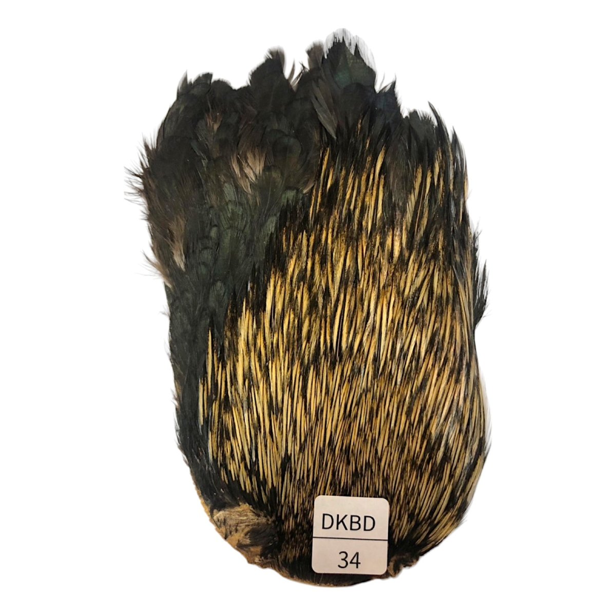 画像1: インドコックケープ India Cock Neck Cape　　ダークバジャー　NO34 (1)