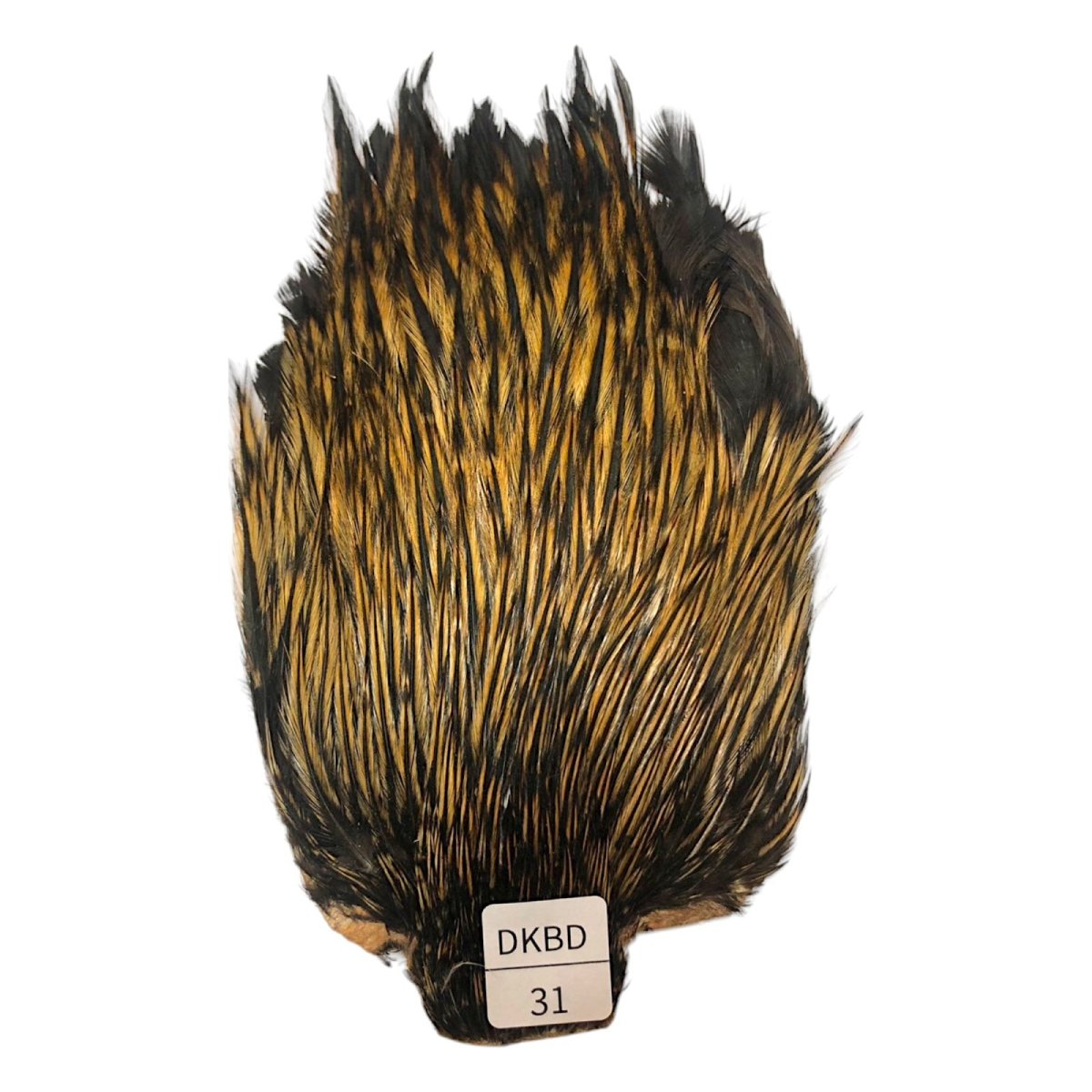 画像1: インドコックケープ India Cock Neck Cape　　ダークバジャー　NO31 (1)