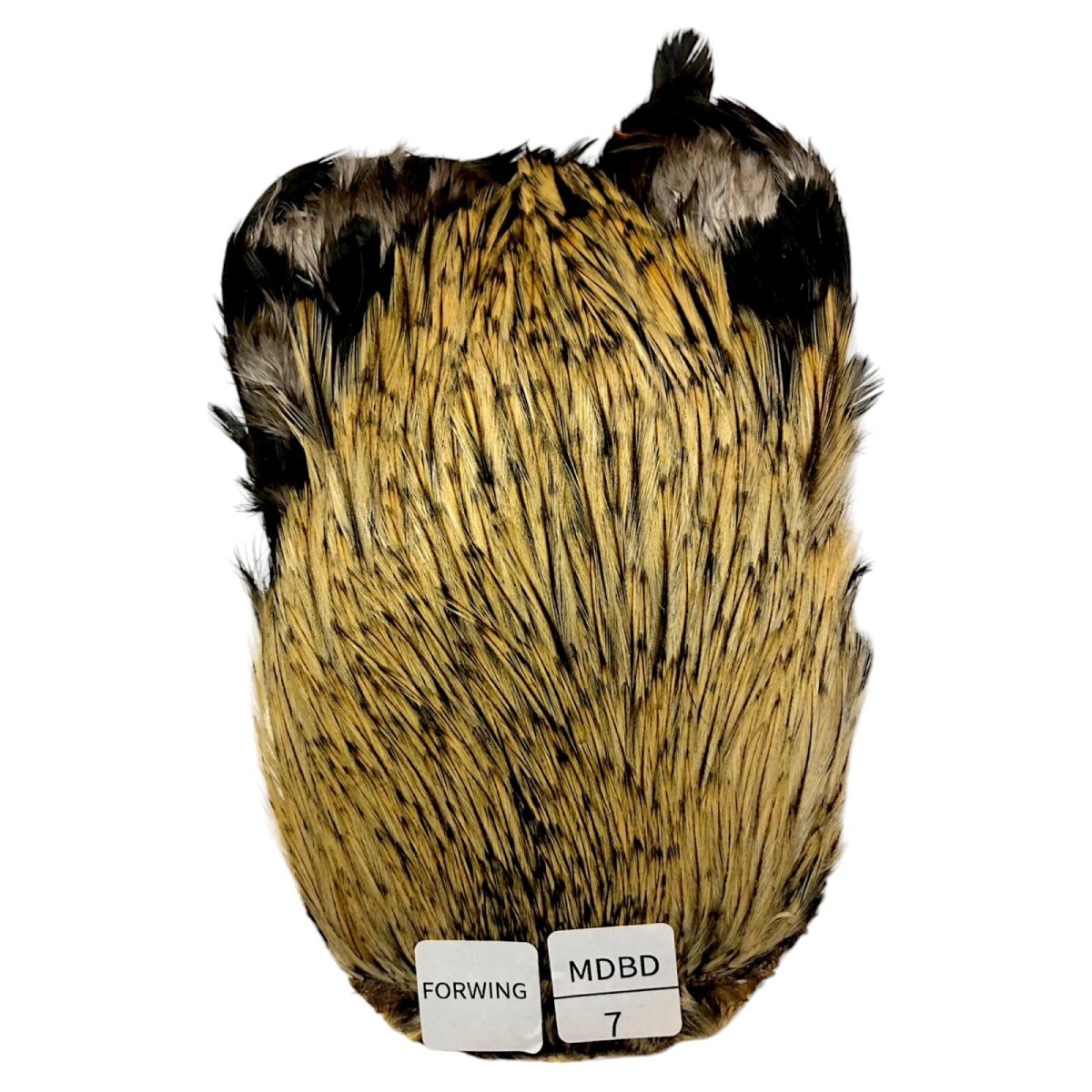 画像1: For Wing　インドコックケープ India Cock Neck Cape　　ミディアムバジャー　NO07 (1)