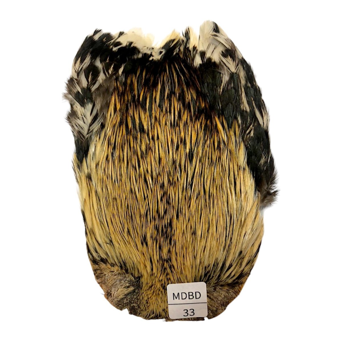 画像1: インドコックケープ India Cock Neck Cape　　ミディアムバジャー　NO33 (1)
