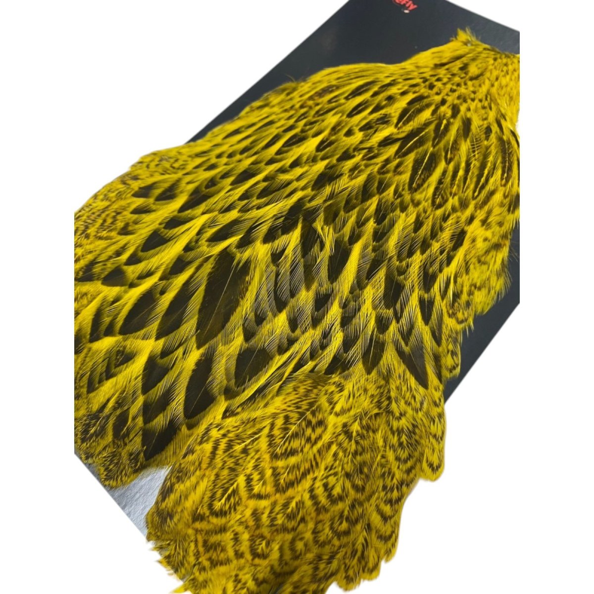 画像4:  FutureFly Freshwater Hen Capes  F6  Yellow  フューチャーフライ (4)