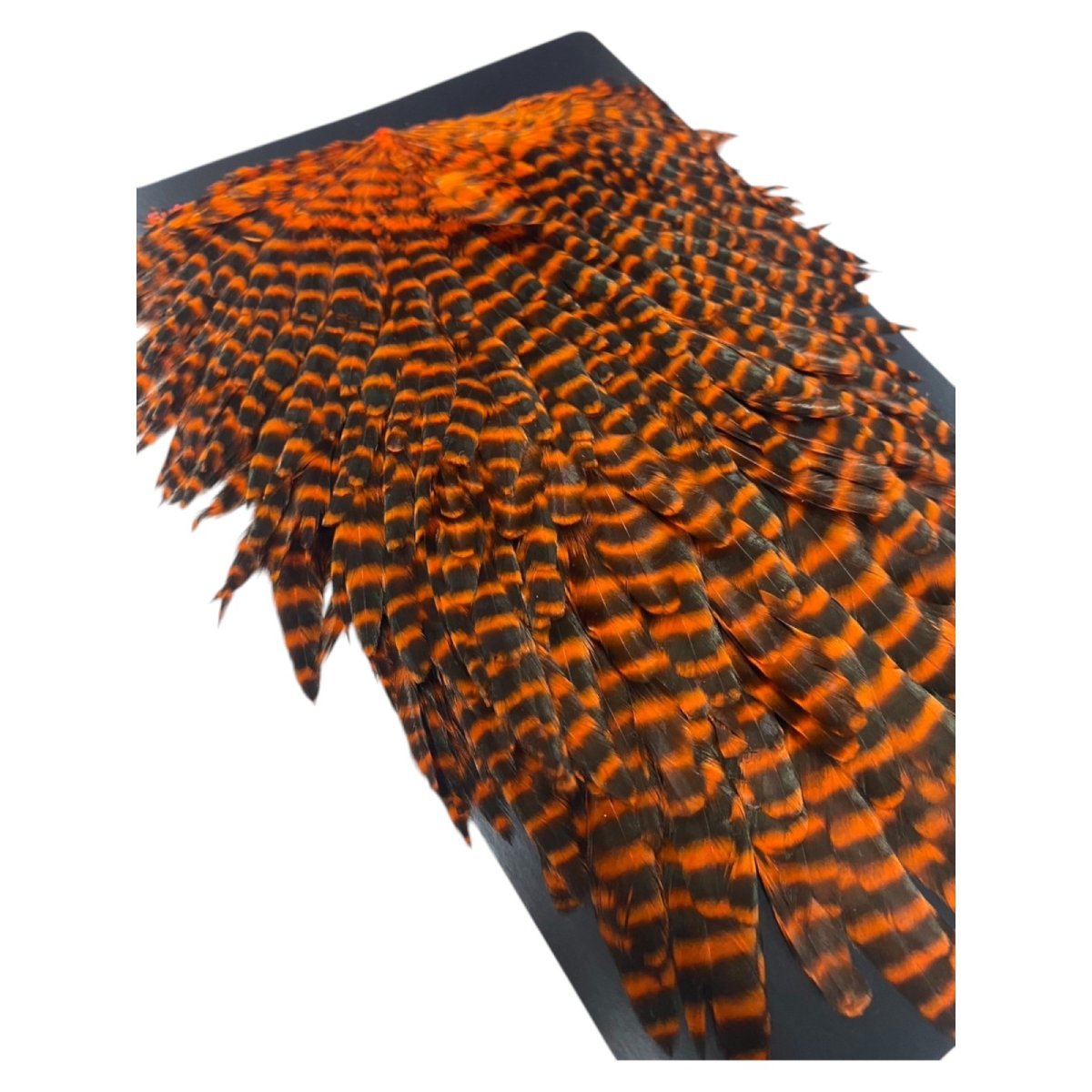 画像5:  FutureFly Signature Hen Saddle F4  Orange Grizzly フューチャーフライ (5)