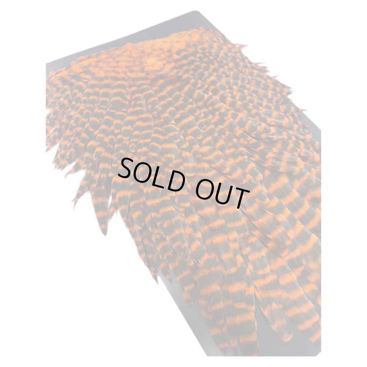 画像5:  FutureFly　Signature Hen Saddle　F4　 Orange　Grizzly　フューチャーフライ (5)