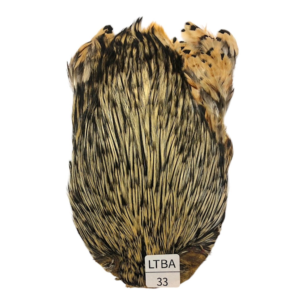 画像1: インドコックケープ India Cock Neck Cape　　ライトバジャー　NO33 (1)