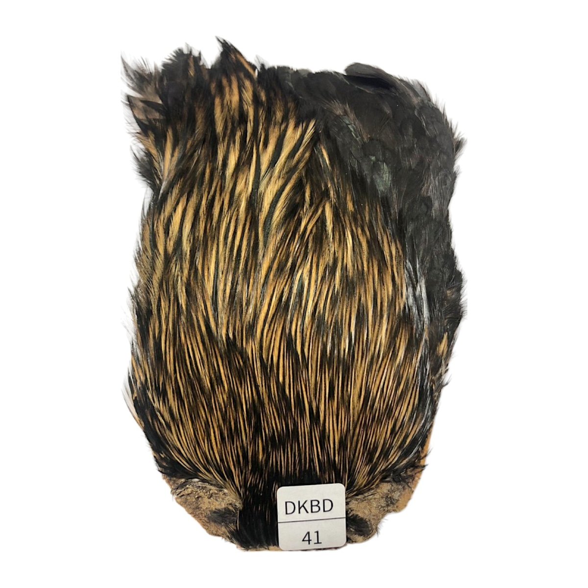 画像1: インドコックケープ India Cock Neck Cape　　ダークバジャー　NO41 (1)