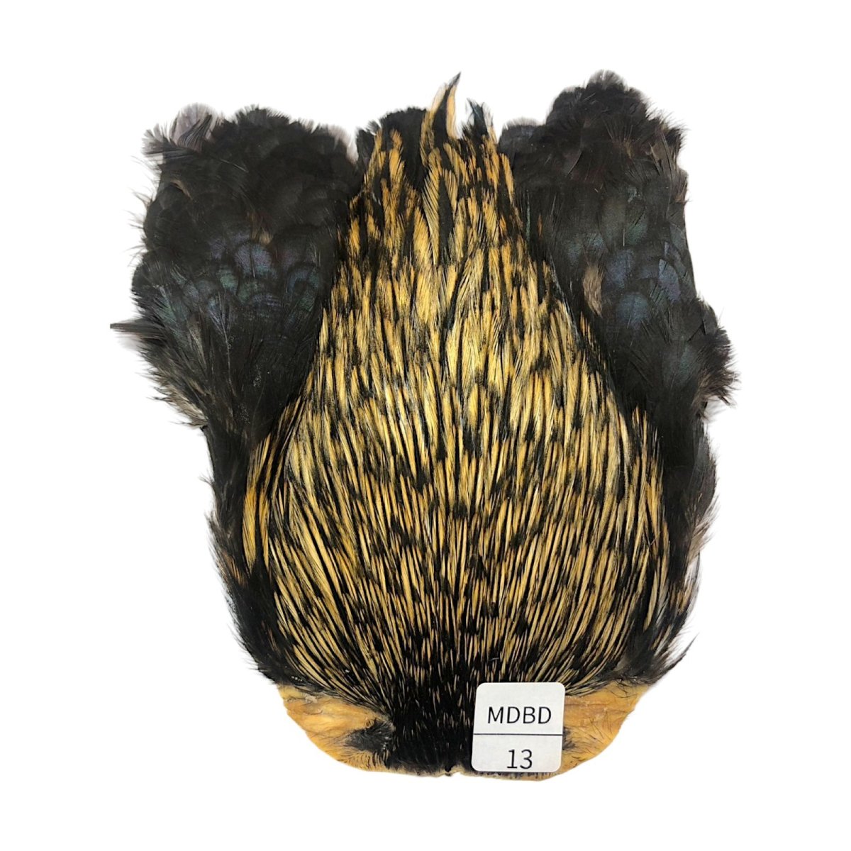 画像1: インドコックケープ India Cock Neck Cape　　ミディアムバジャー　NO13 (1)