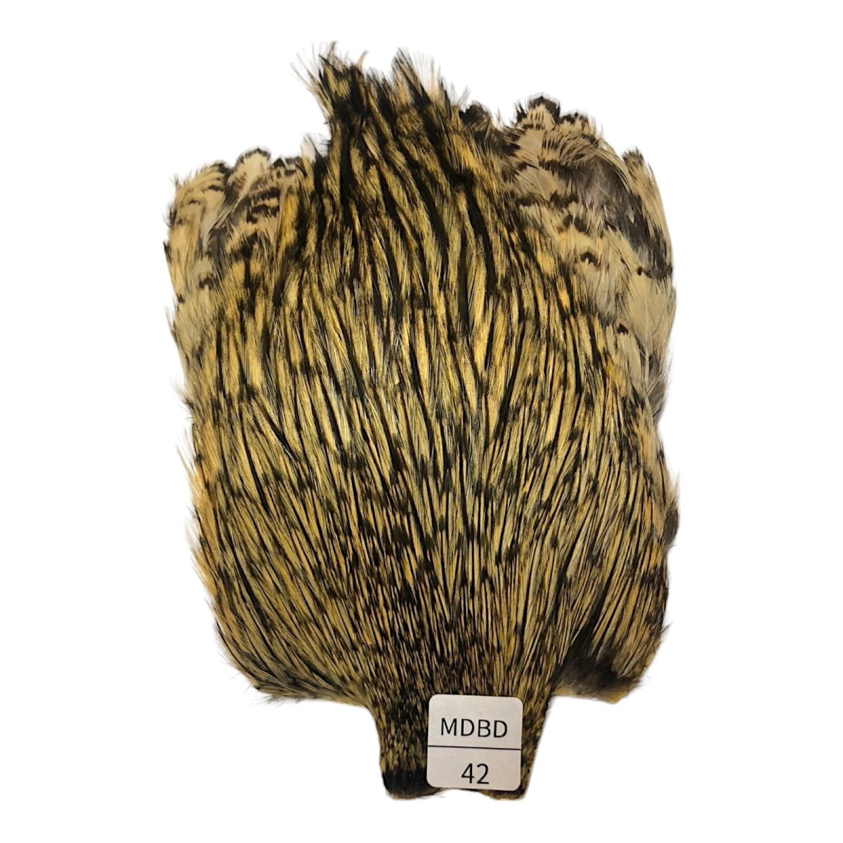 画像1: インドコックケープ India Cock Neck Cape　　ミディアムバジャー　NO42 (1)