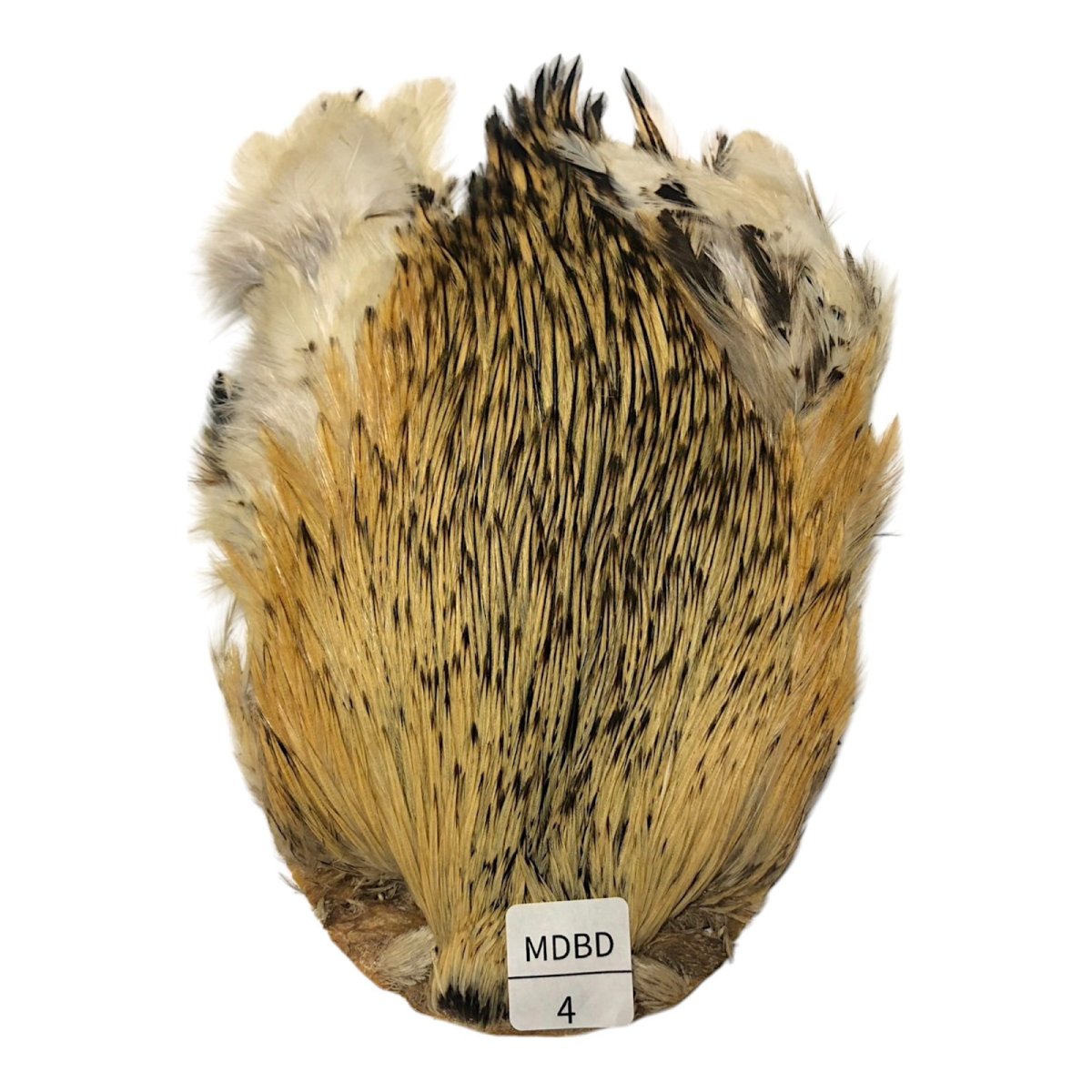 画像1: インドコックケープ India Cock Neck Cape　　ミディアムバジャー　NO04 (1)