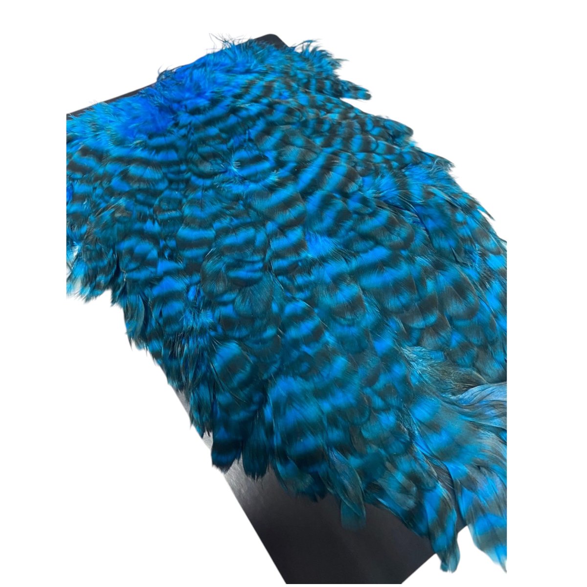 画像5:  FutureFly American Saddle F3 King Fisher Blue Grizzly フューチャーフライ (5)